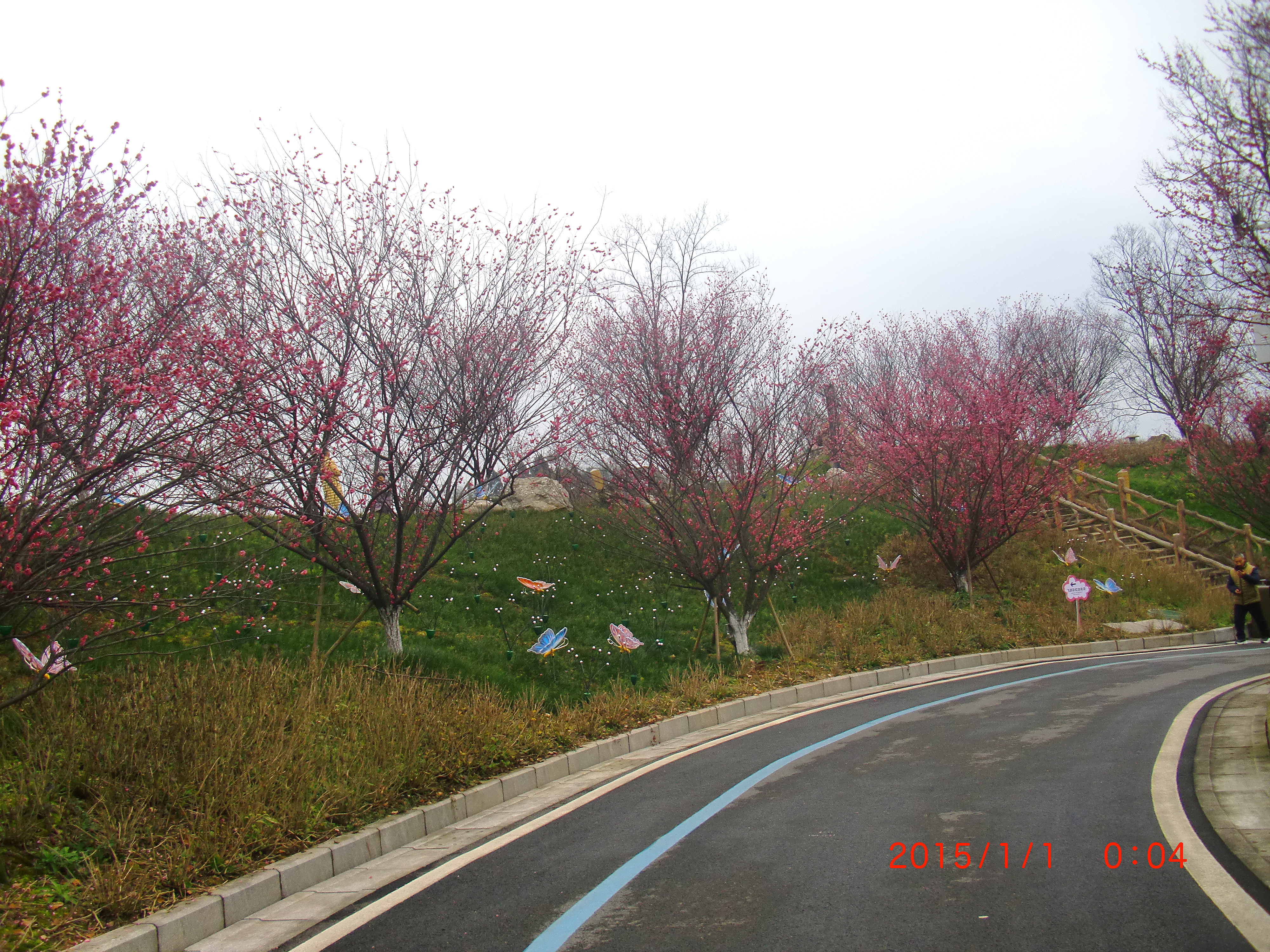 户外休闲旅游景区一角素材