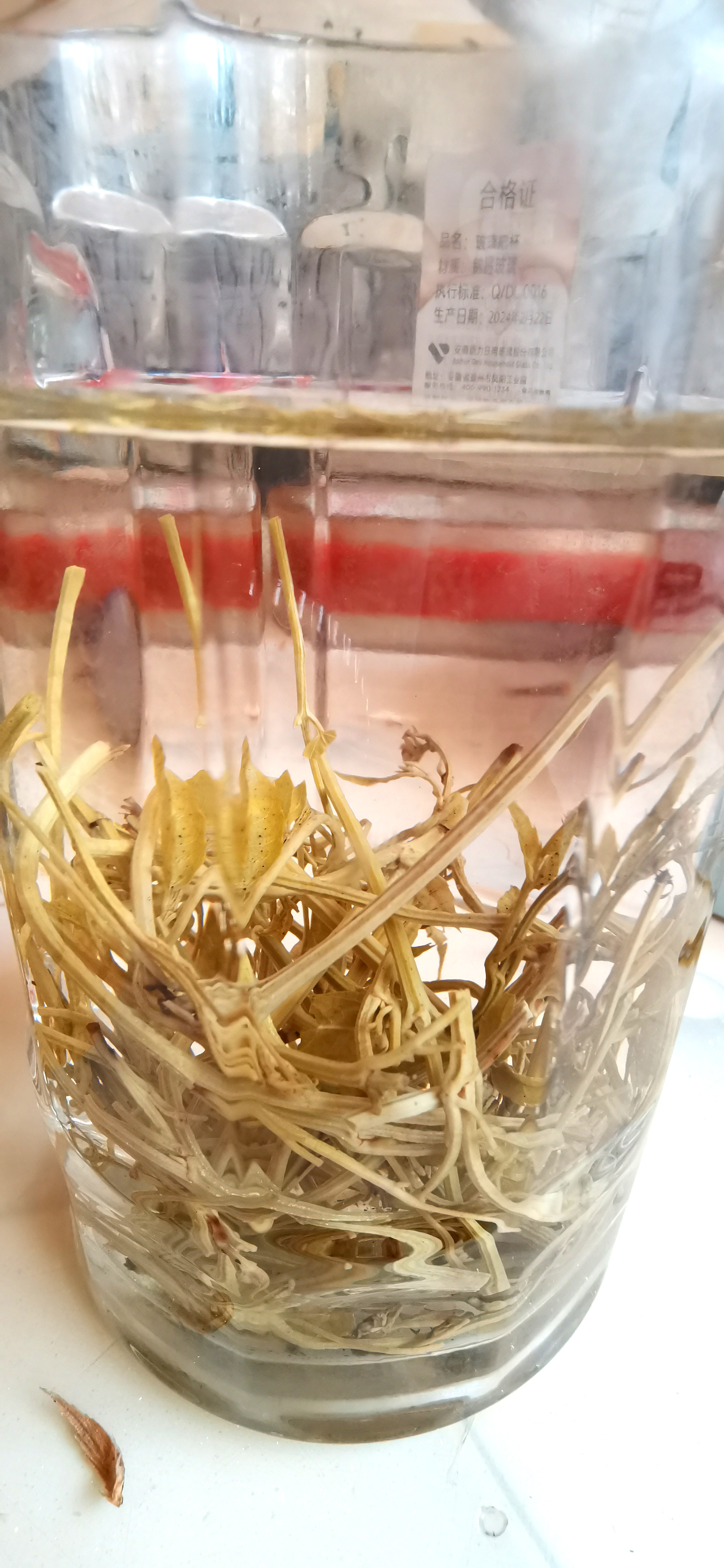 玻璃杯中泡开的莓茶素材