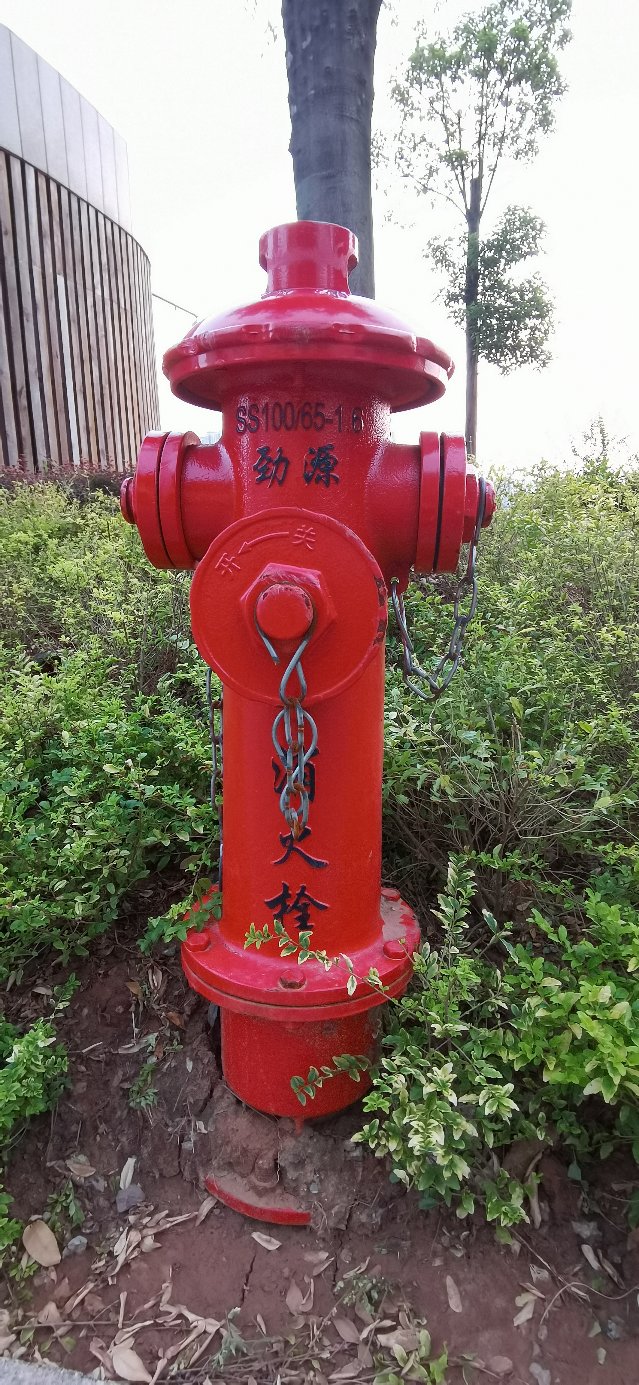 草地里红色消防栓素材