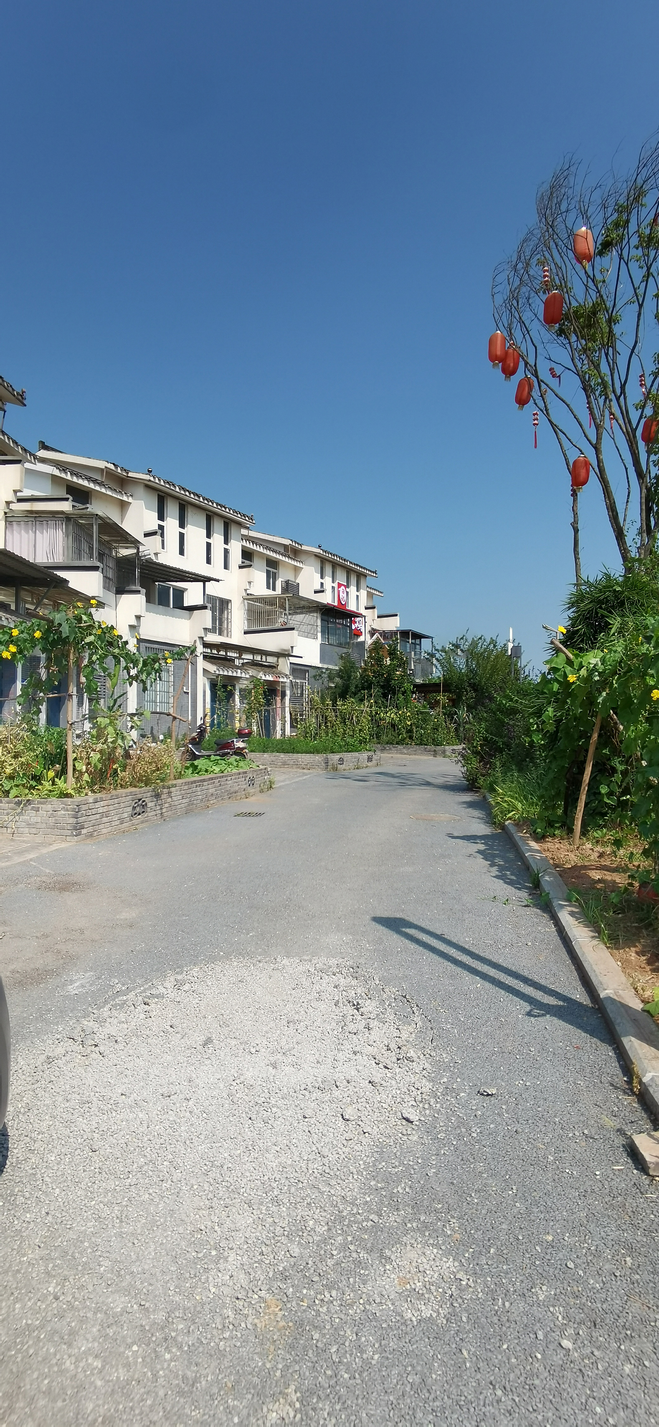 旅游开发地的乡村道路素材