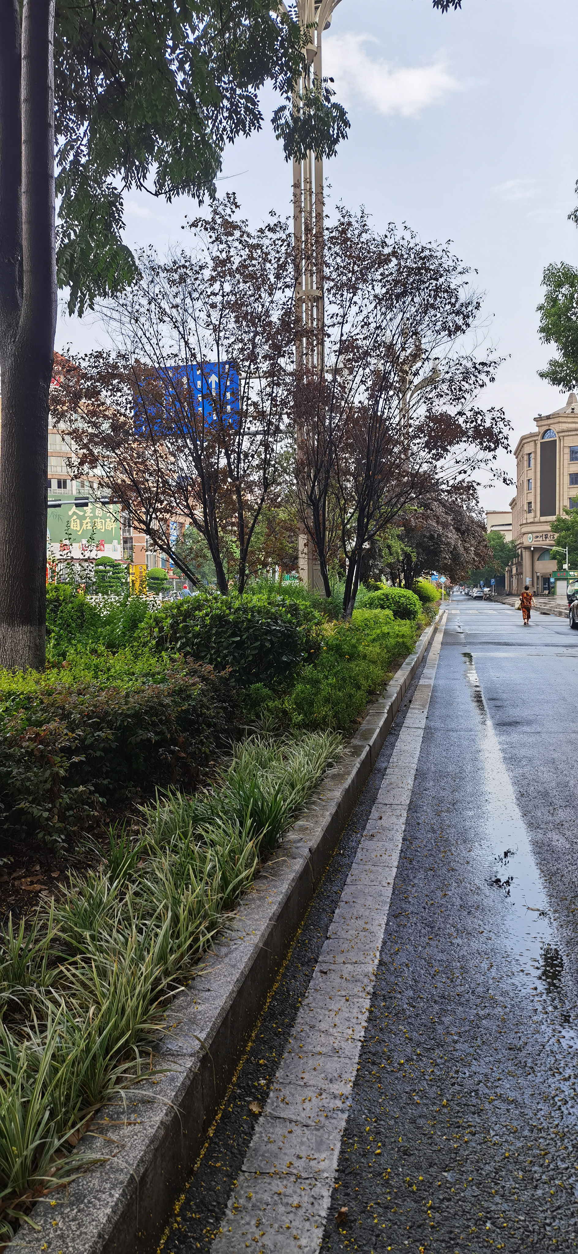 雨后湿滑的城市道路素材