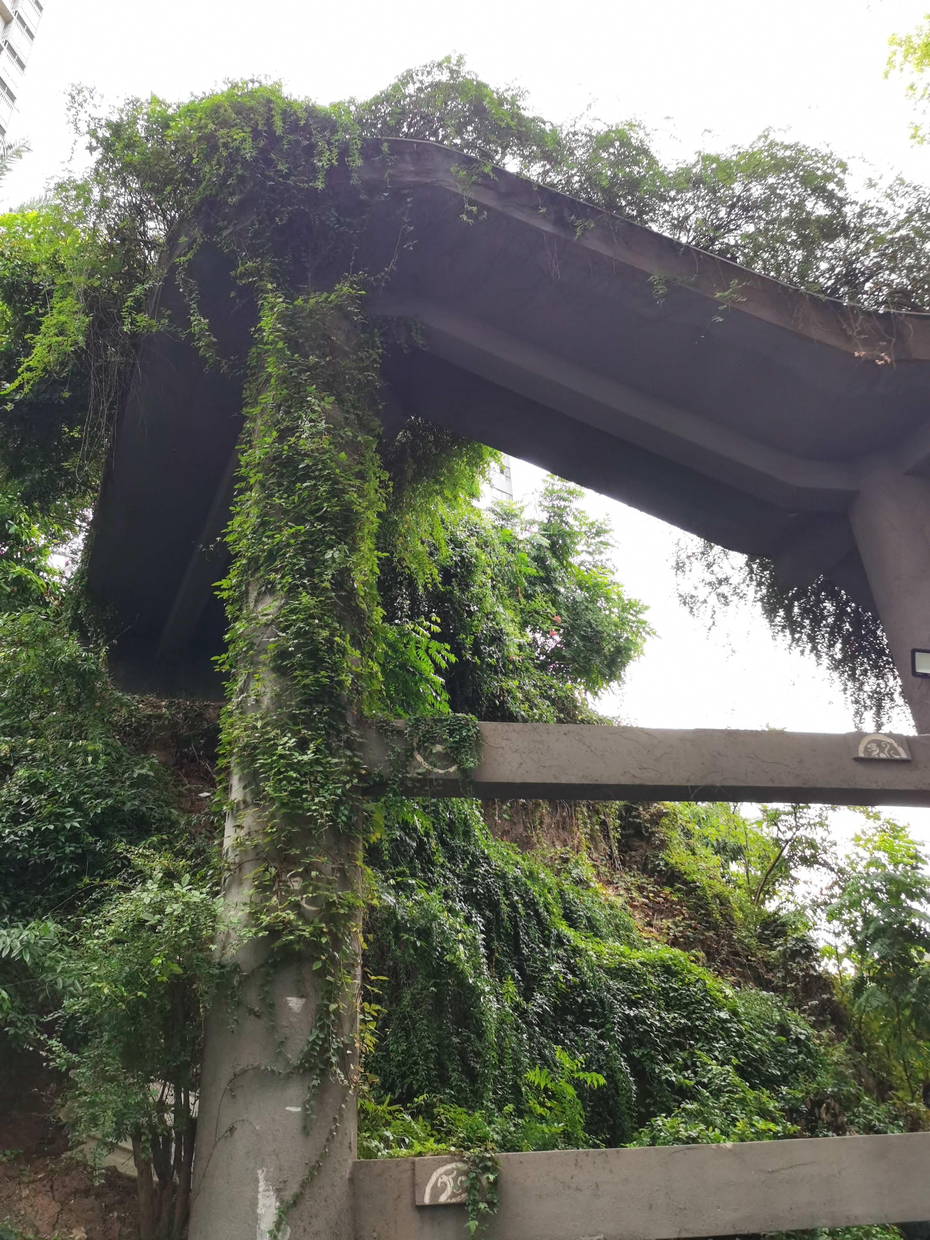 爬满藤蔓的桥梁建筑素材
