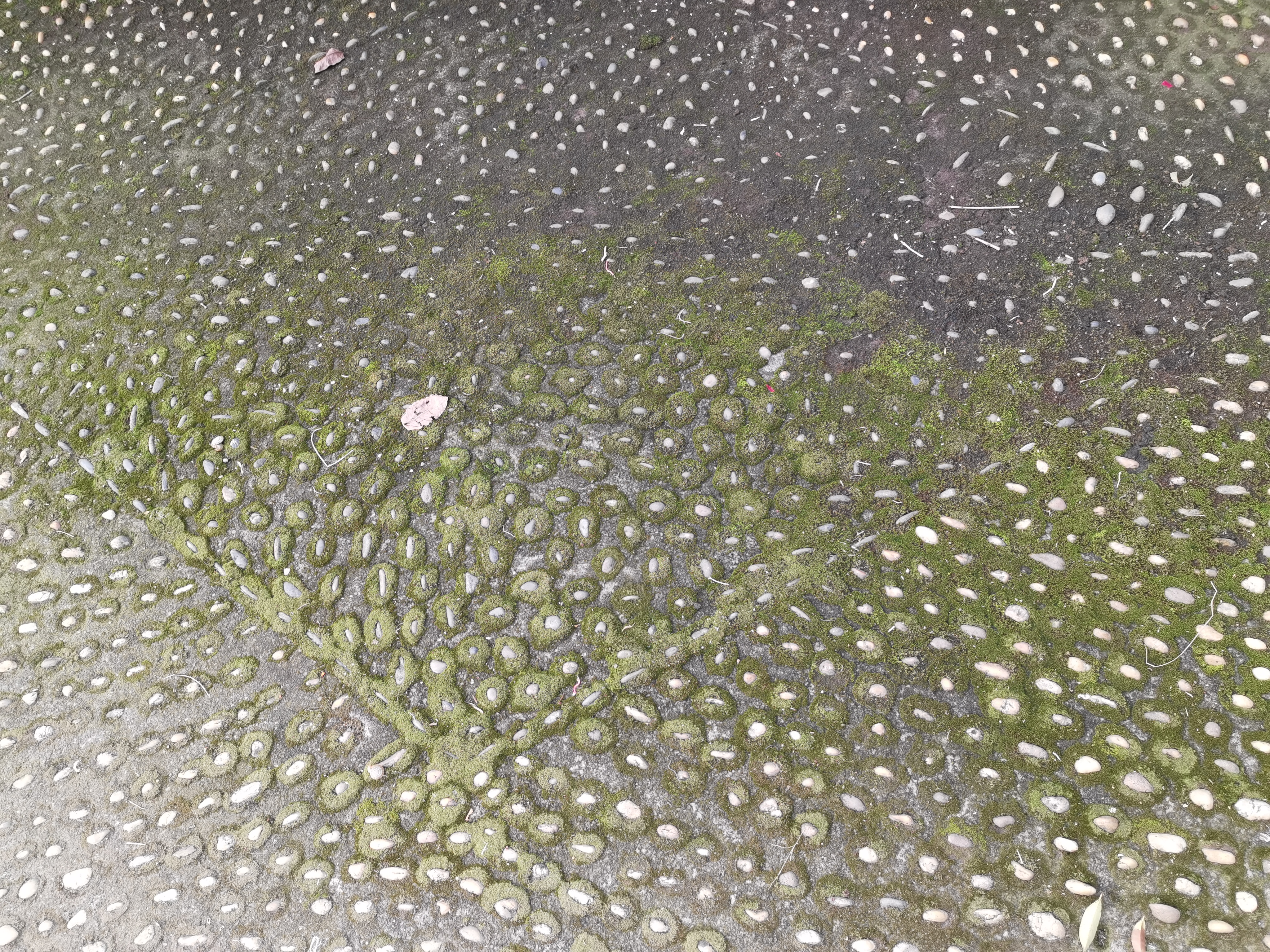 青苔碎石地面特写素材
