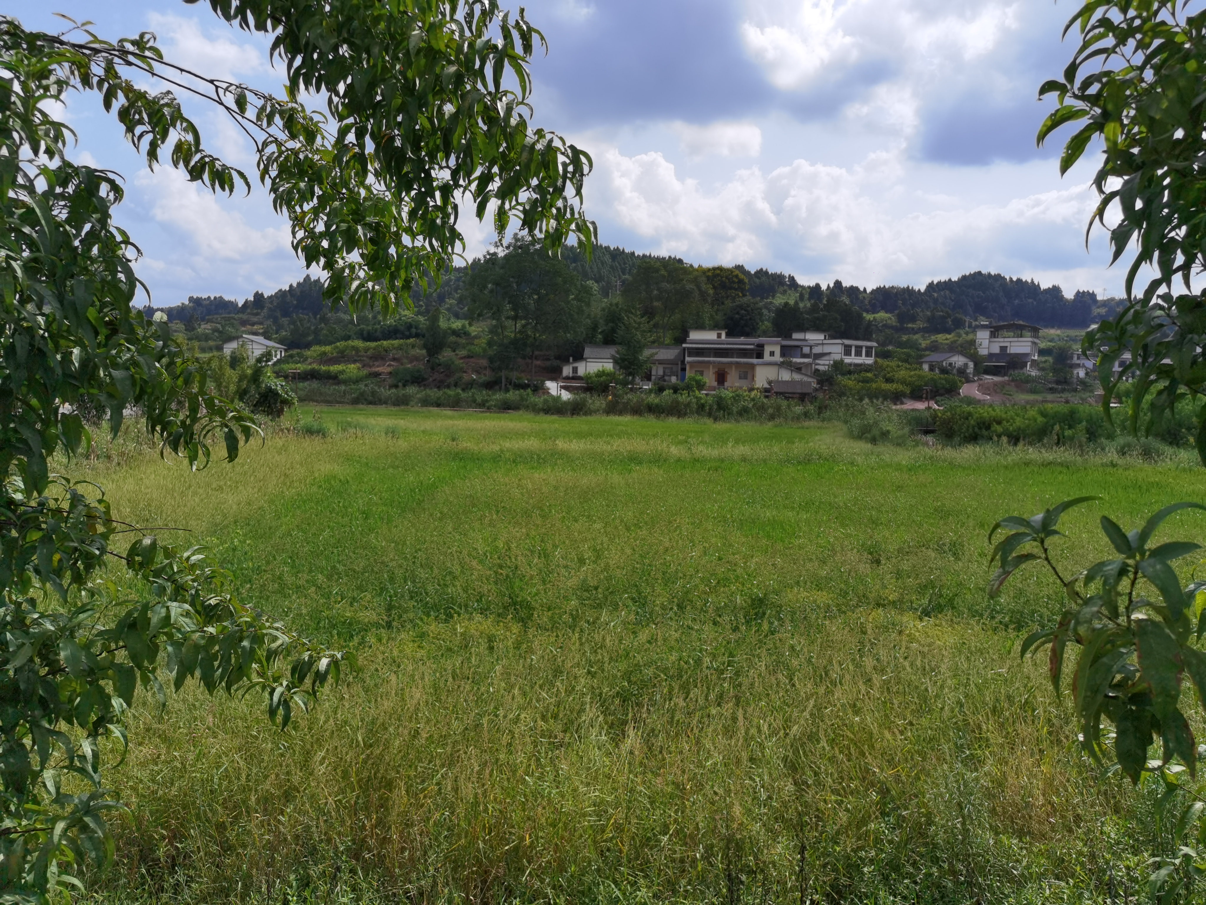 休闲宜居乡村风光素材