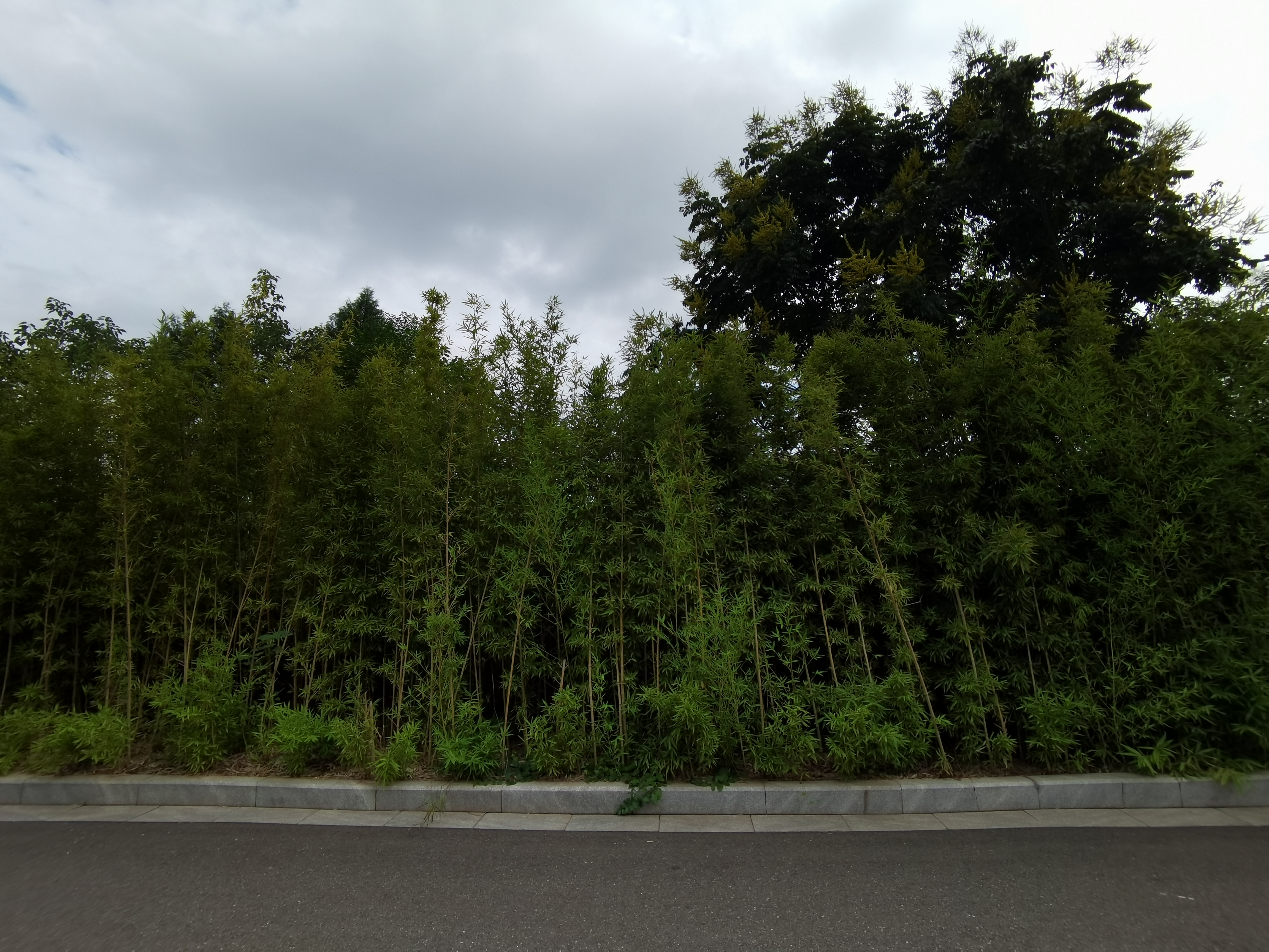 户外休闲场景拍摄素材