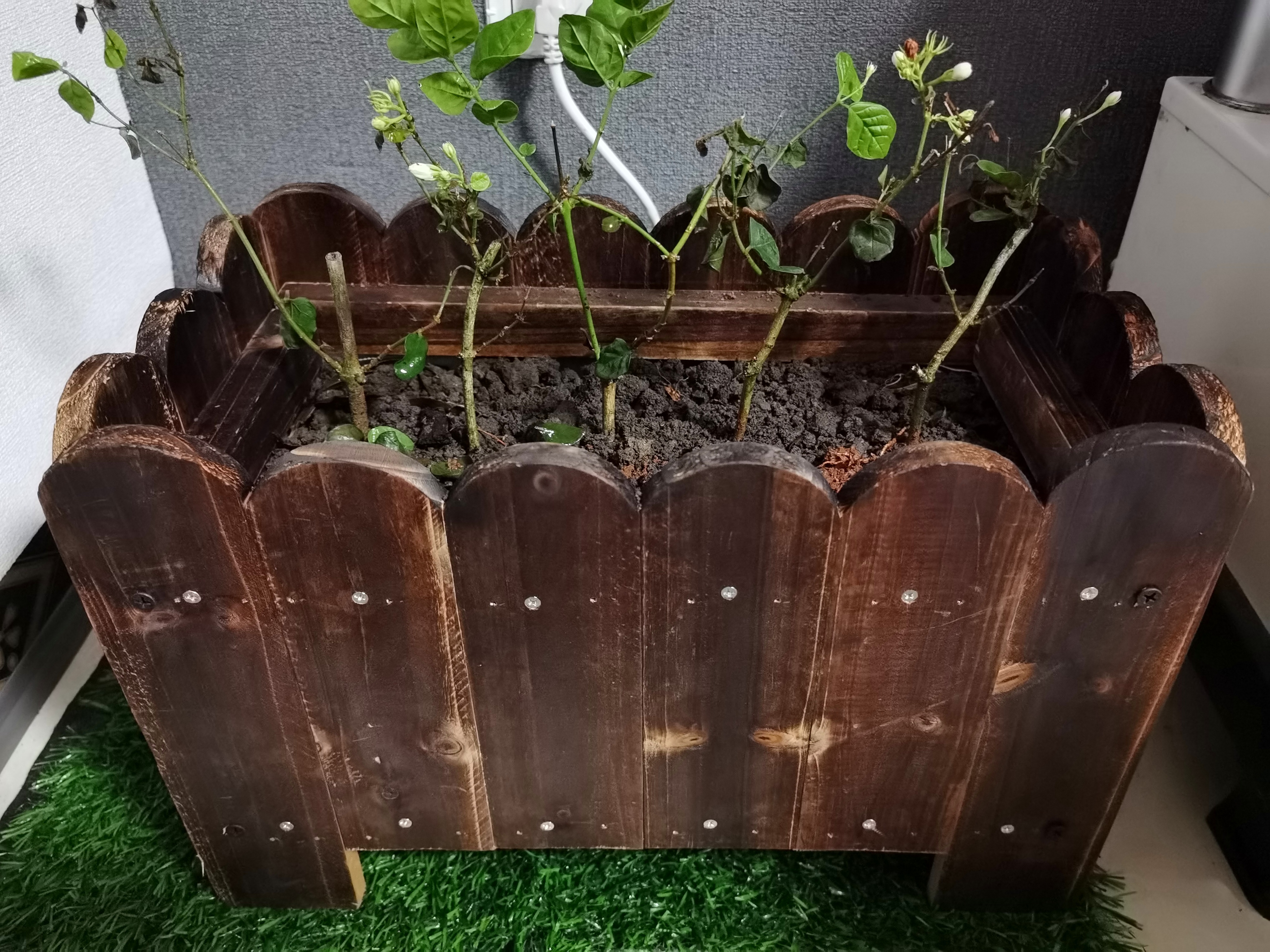 室内木质花箱与盆栽绿植素材