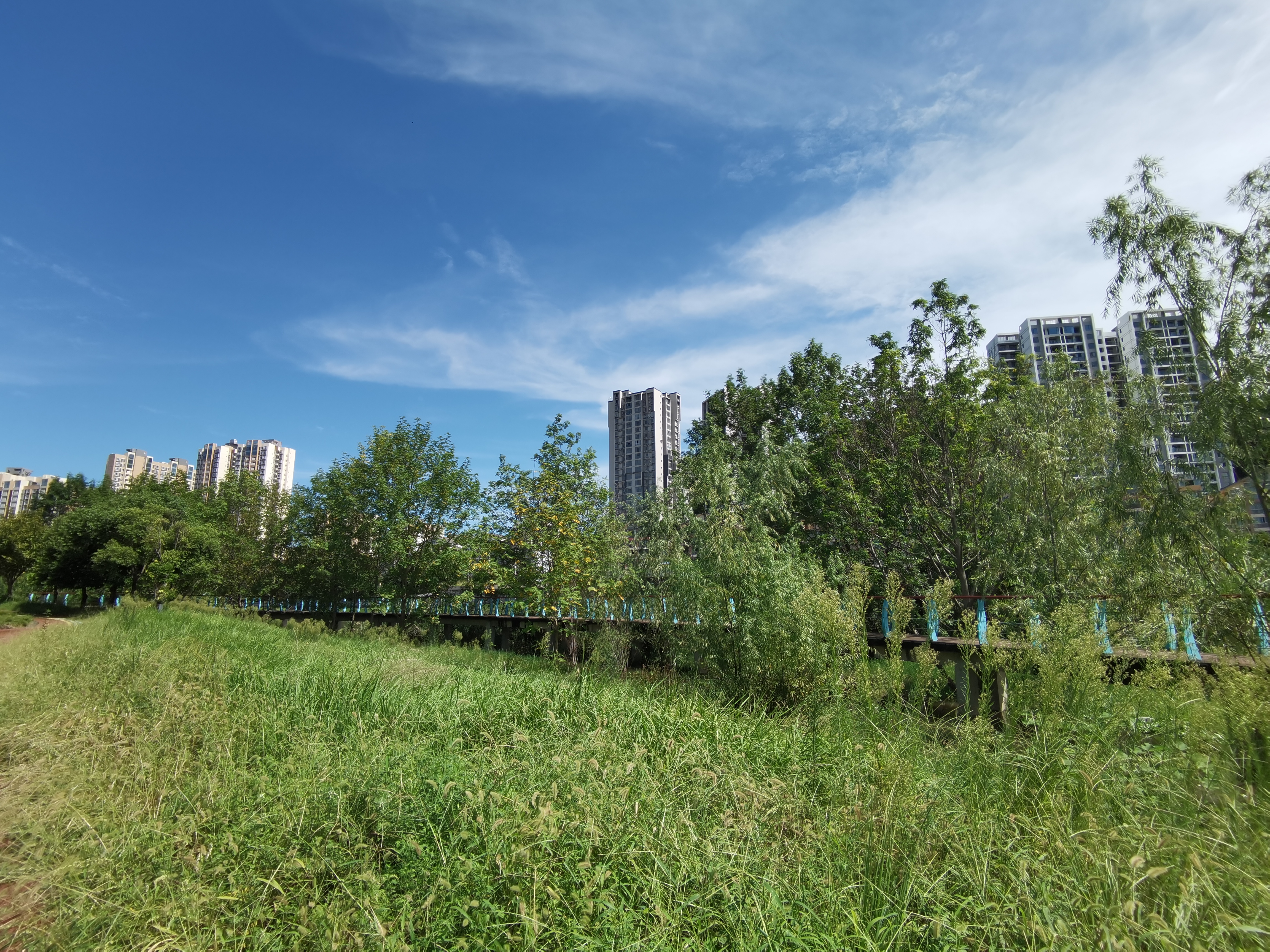 城市公园生活场景素材