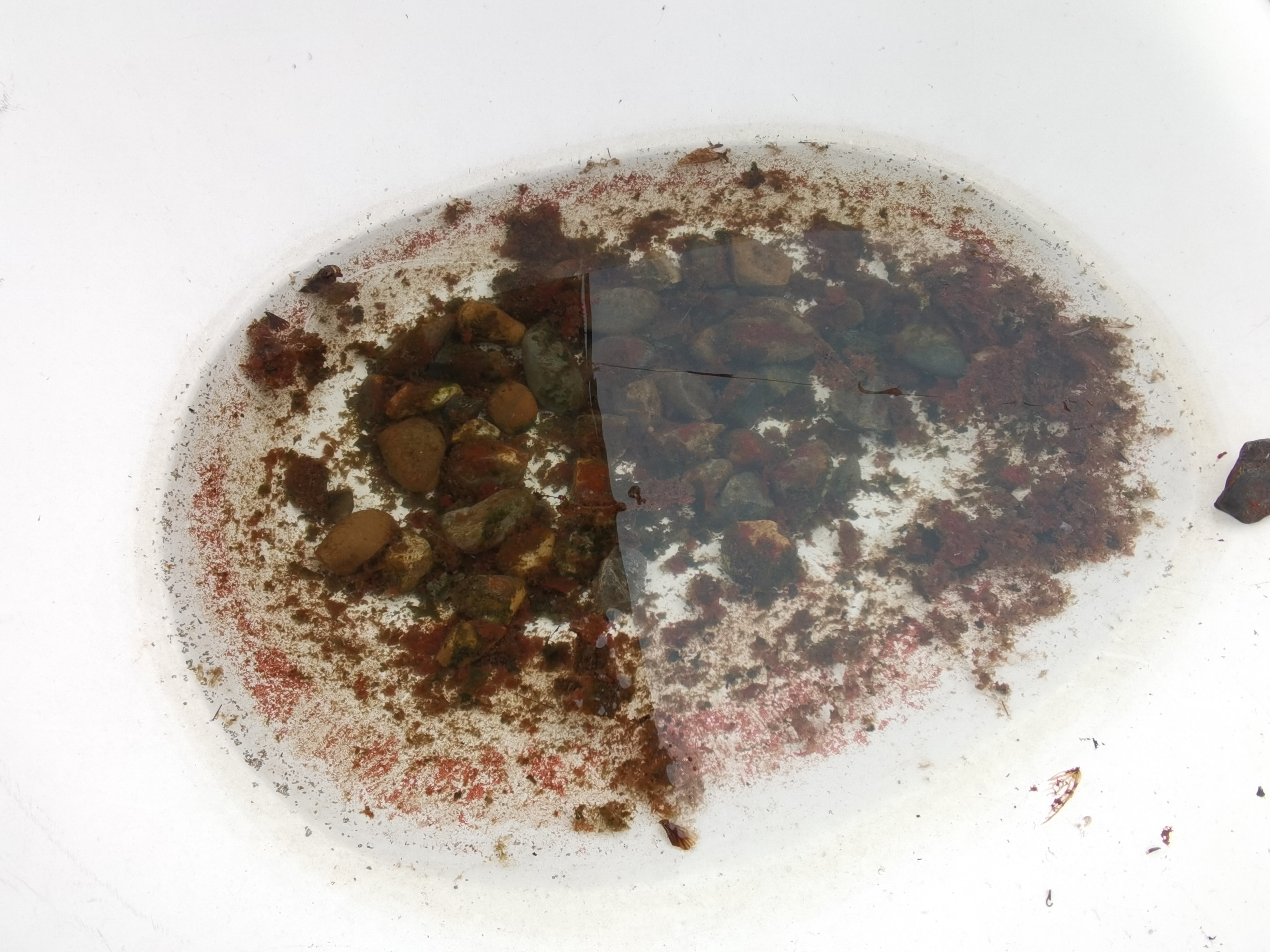 废弃白色休闲凳积水素材