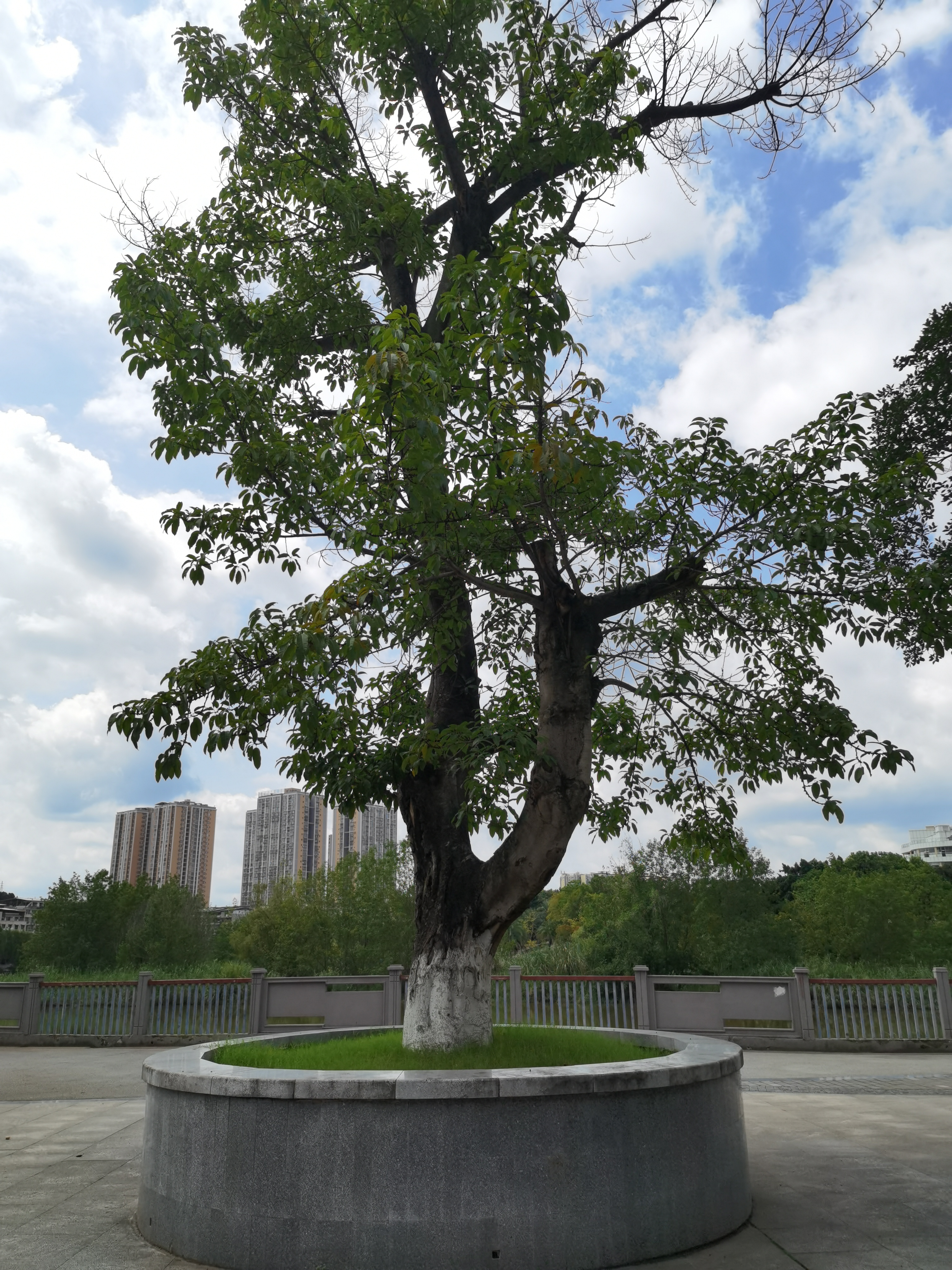 城市公园宜居环境素材