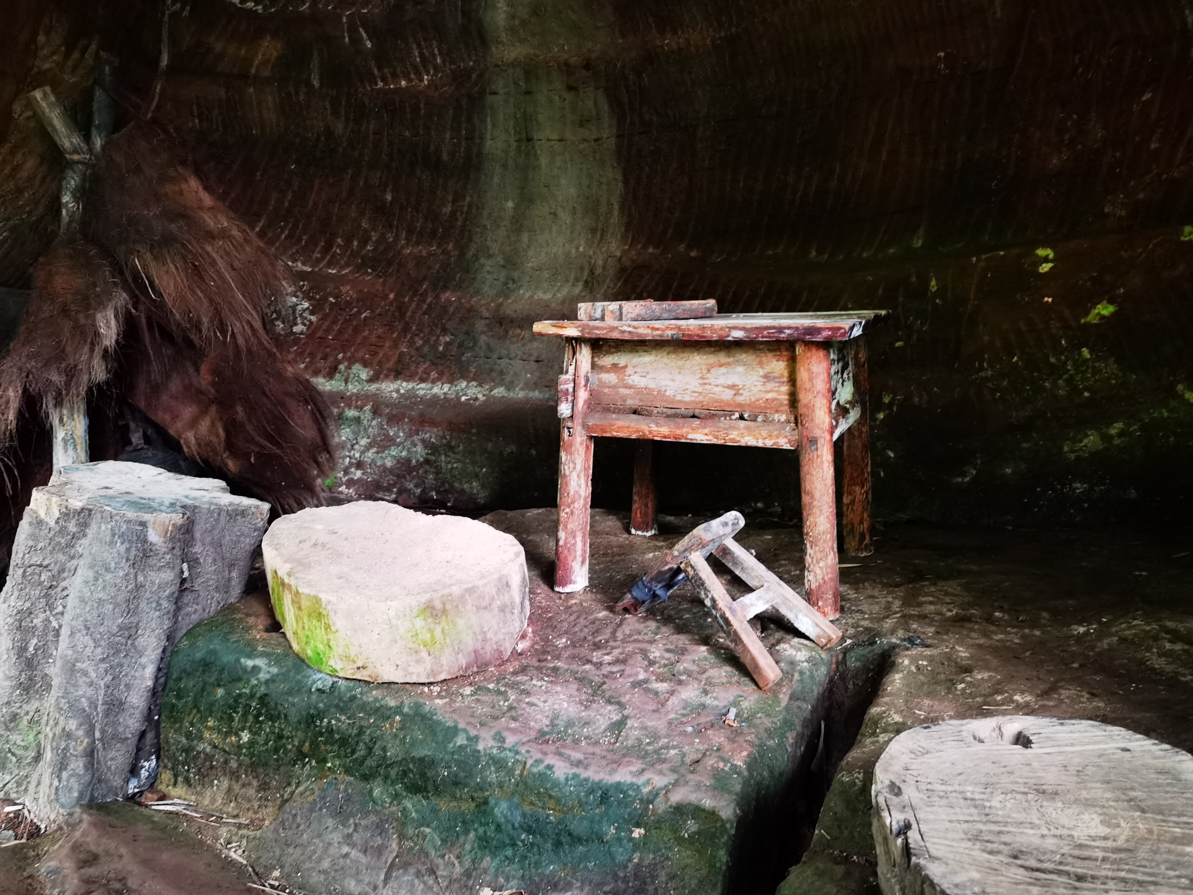 生态竹海内氛围营造小场景素材
