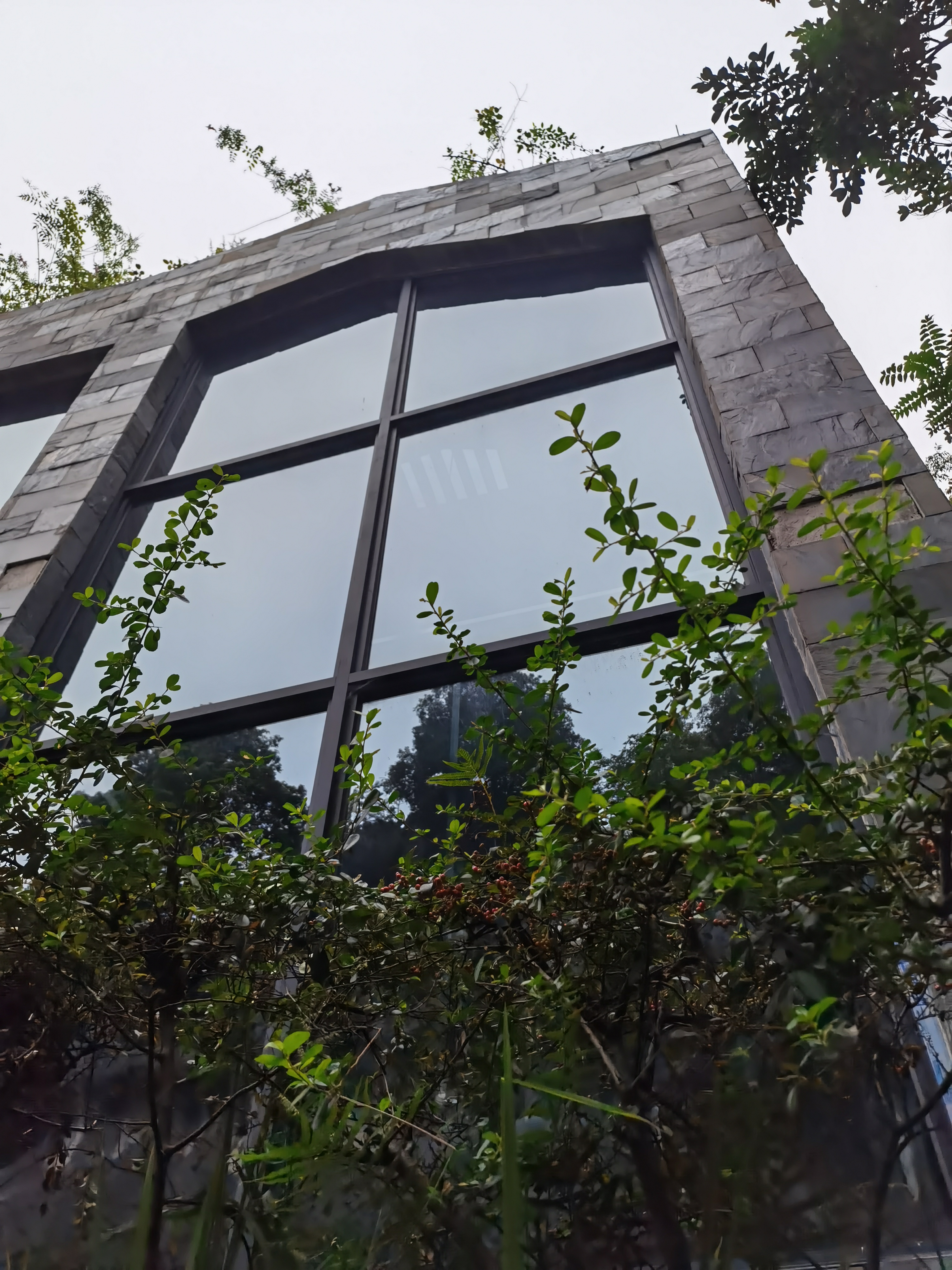 绿植环绕的现代风格玻璃幕墙建筑素材