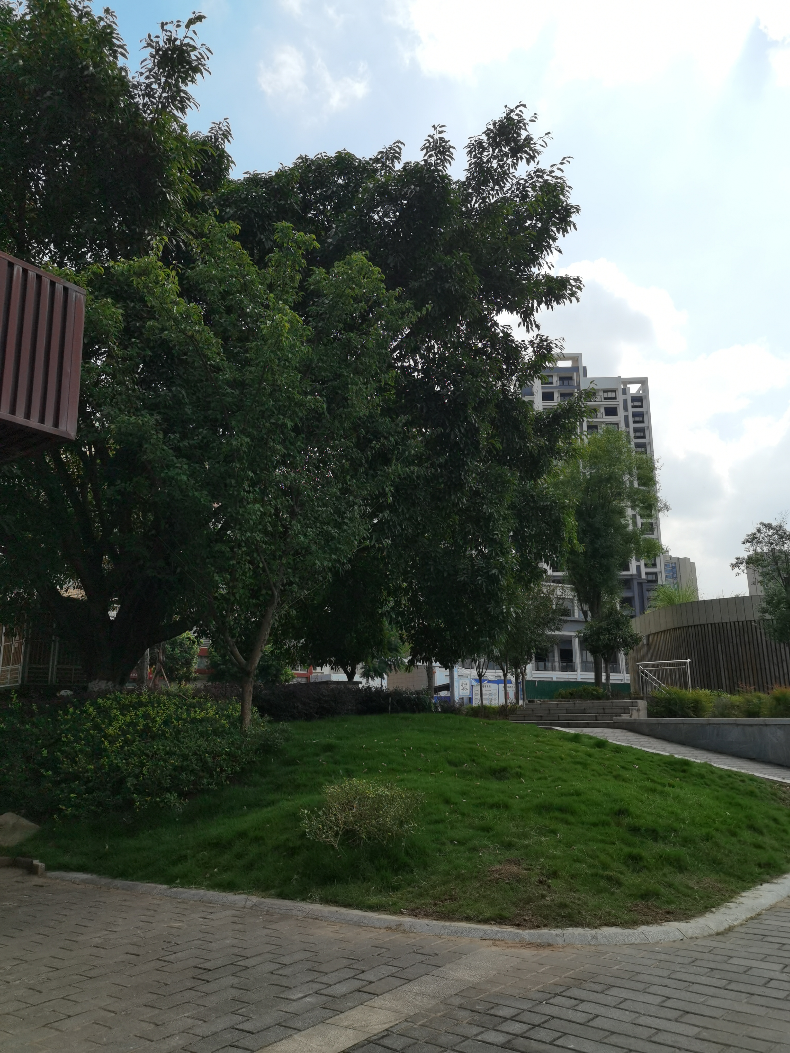 晴空下的休闲公园素材