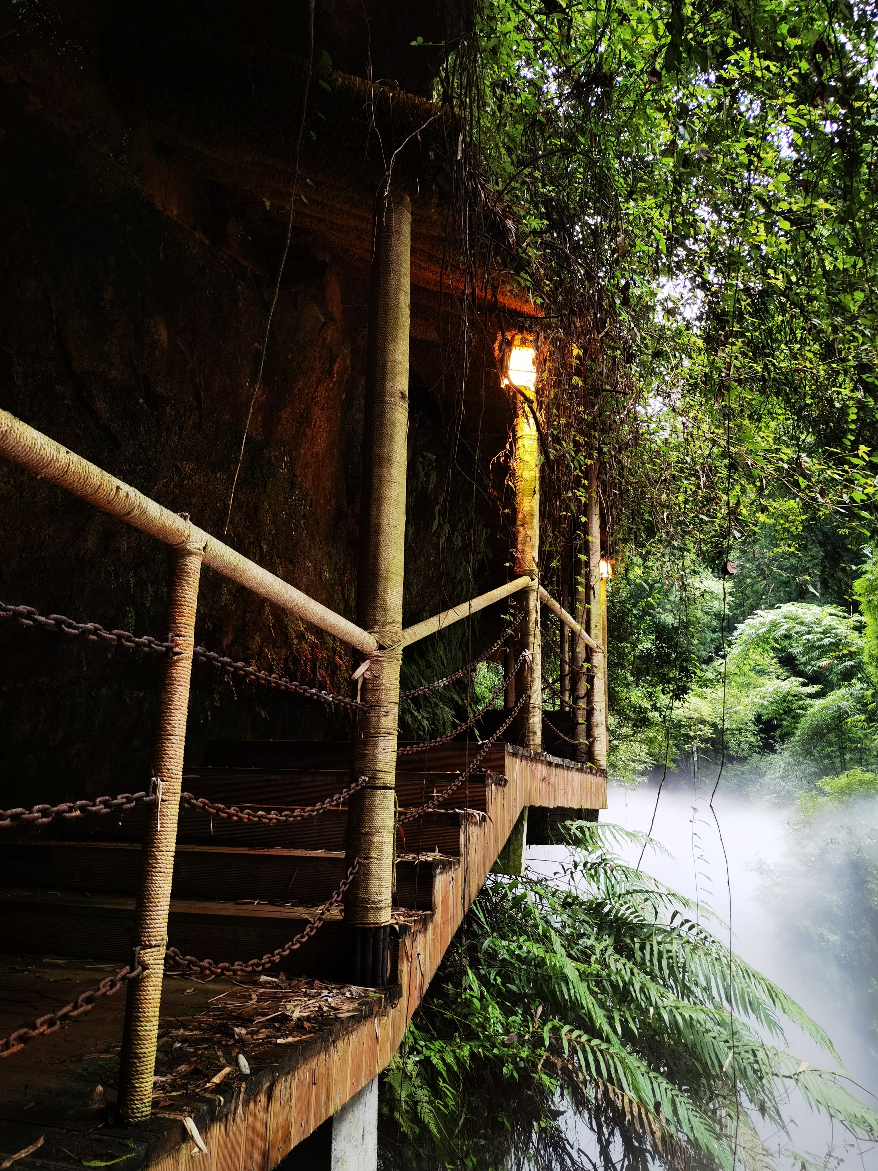 生态竹海旅游景区环境拍摄素材