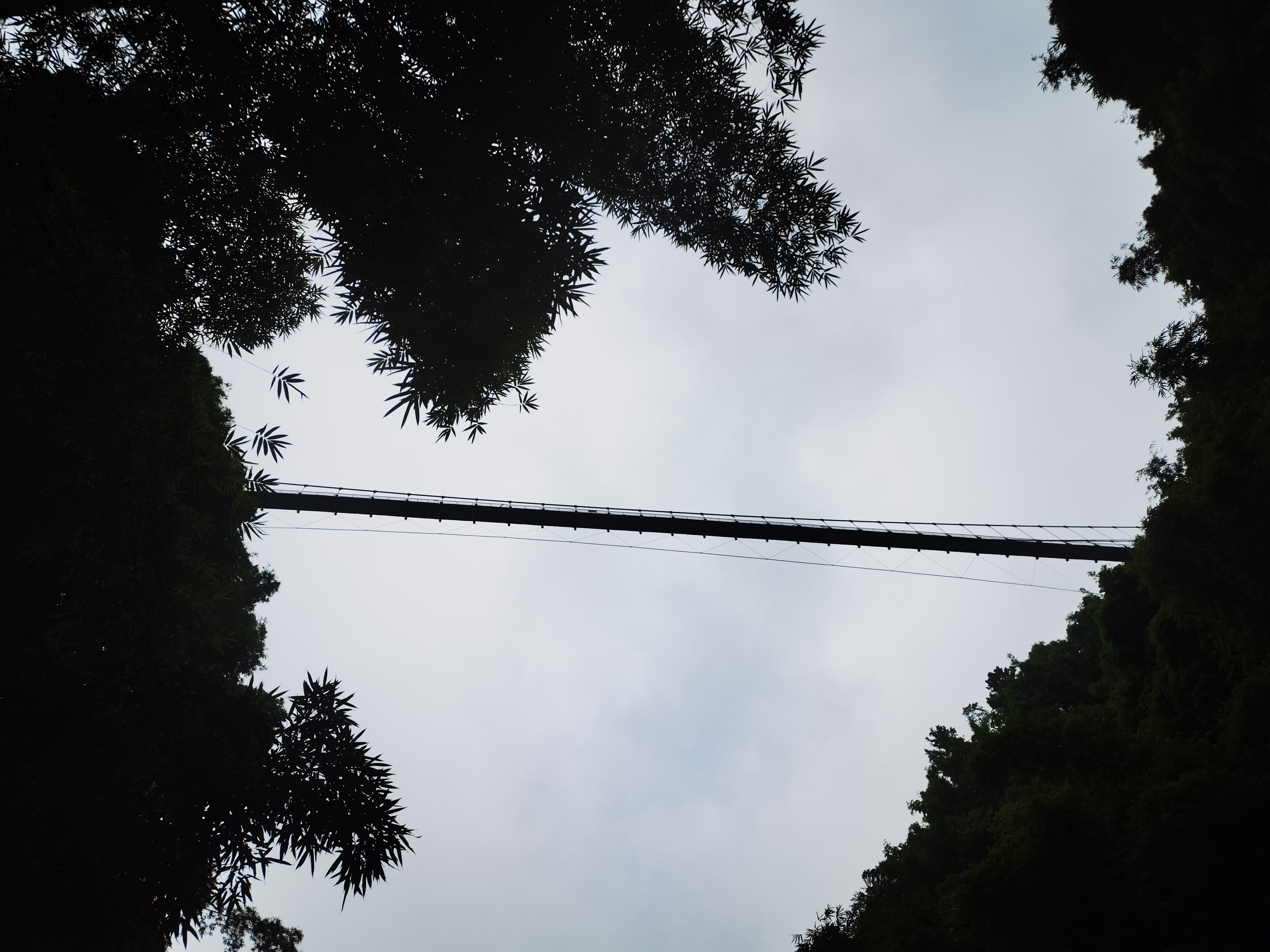 生态竹海旅游景区环境拍摄素材