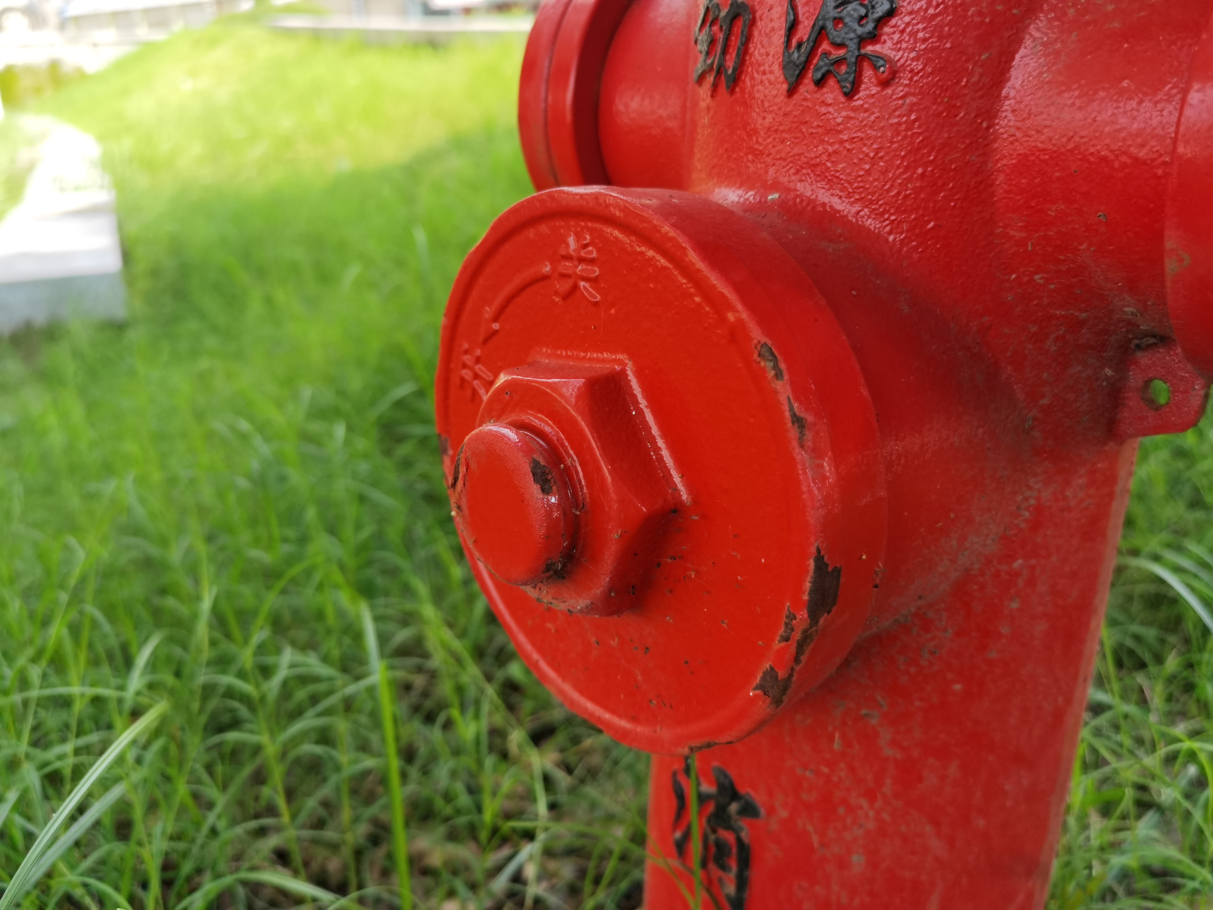 草地里的红色消防栓素材