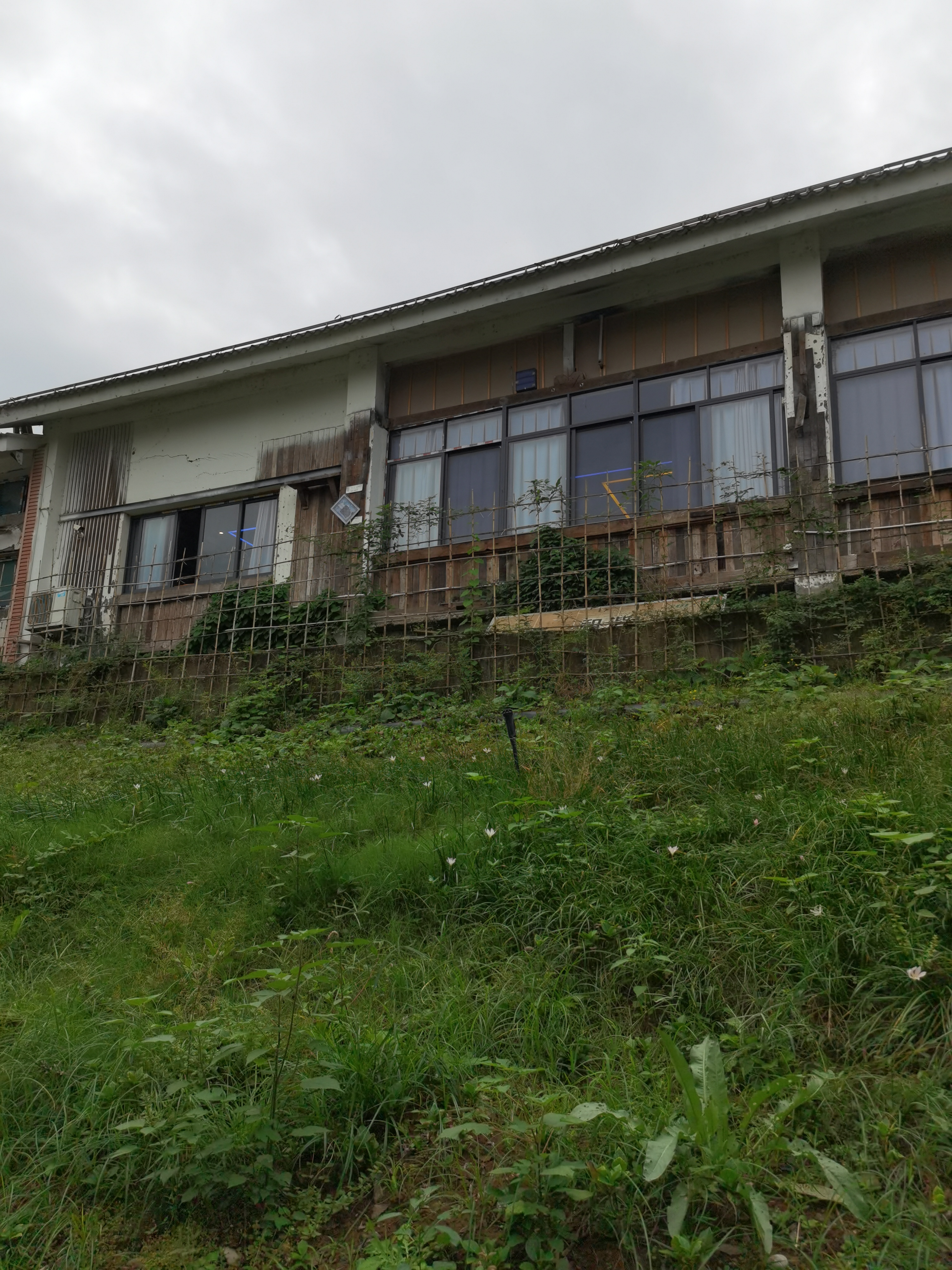 河畔清新草地与远处建筑素材