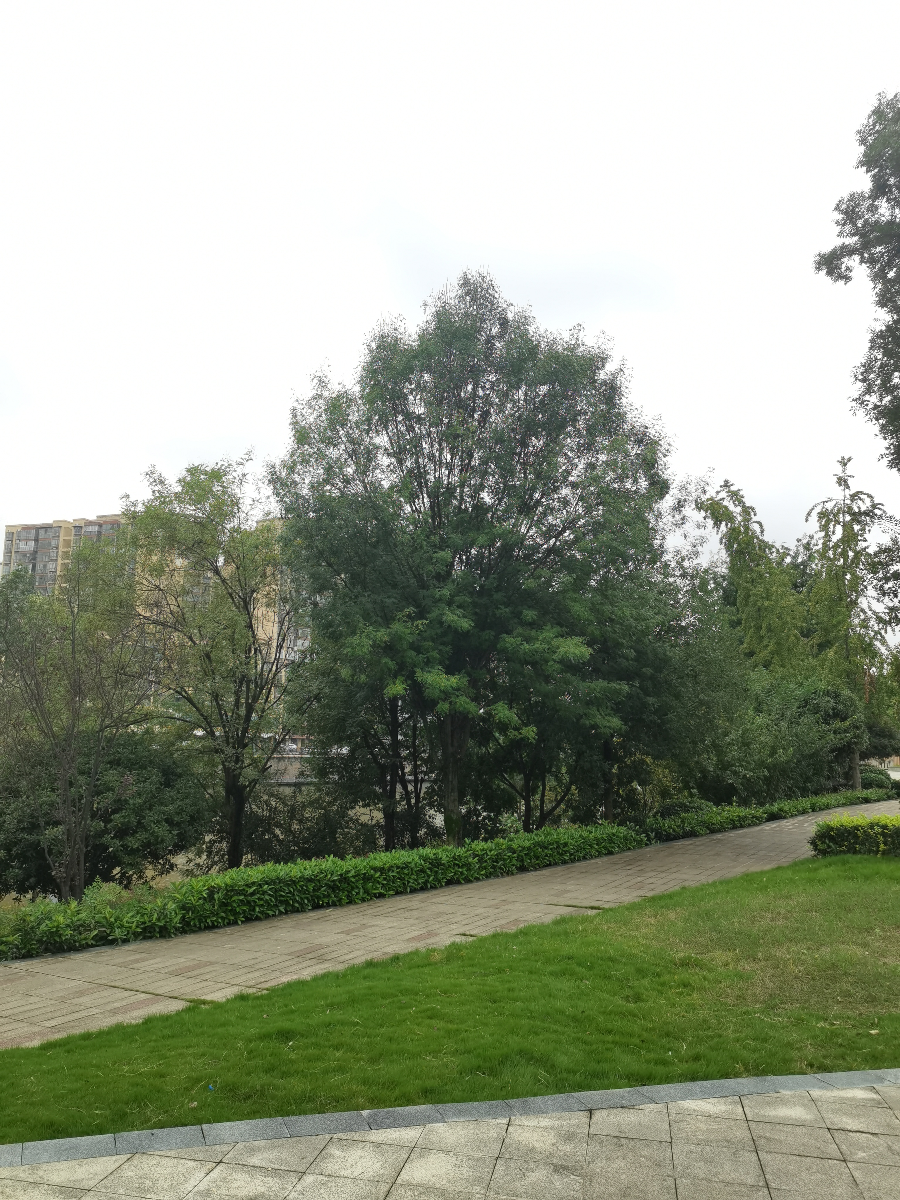清新舒适的休闲公园素材
