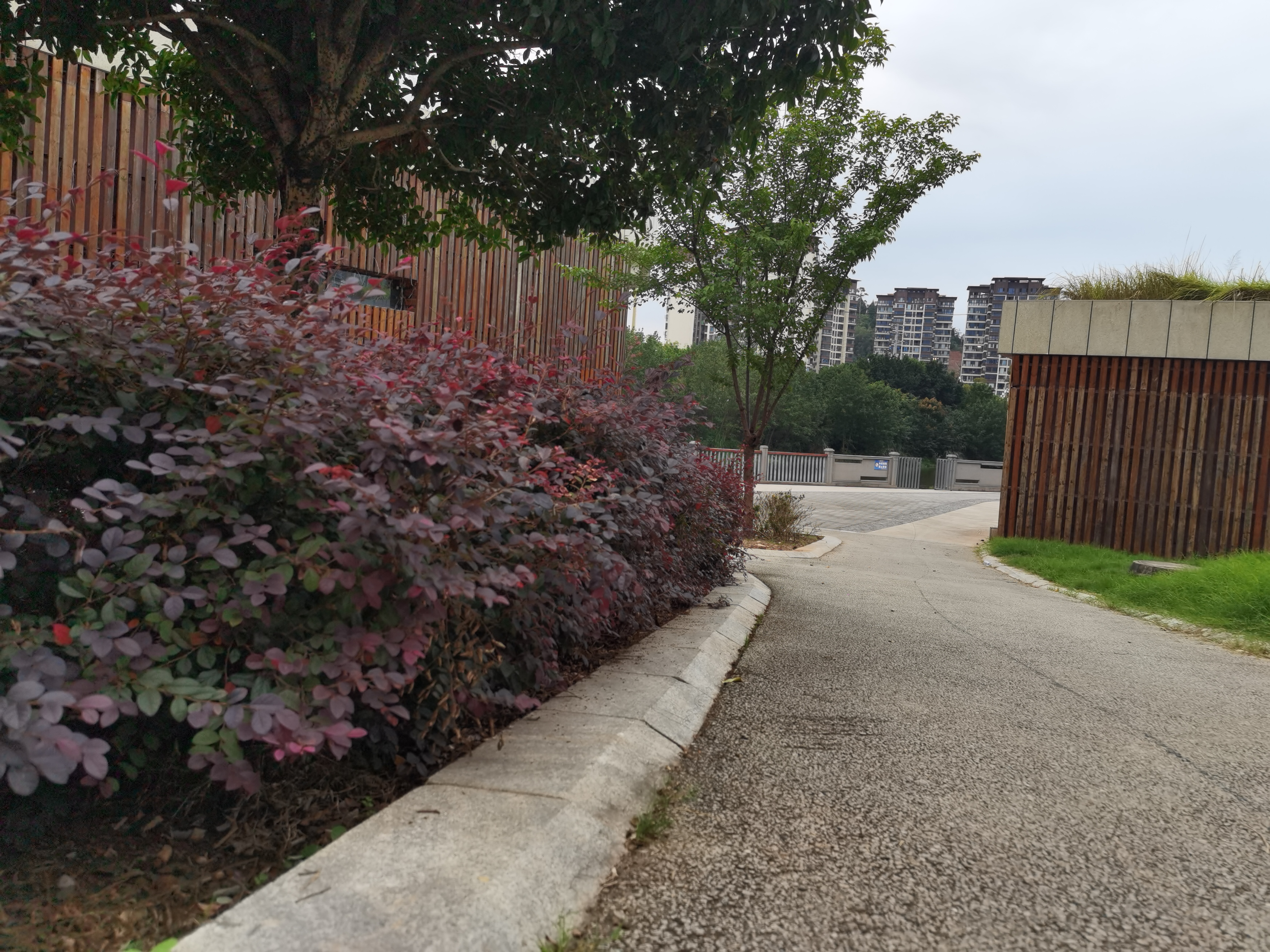 公园里的木质墙体建筑与绿植素材