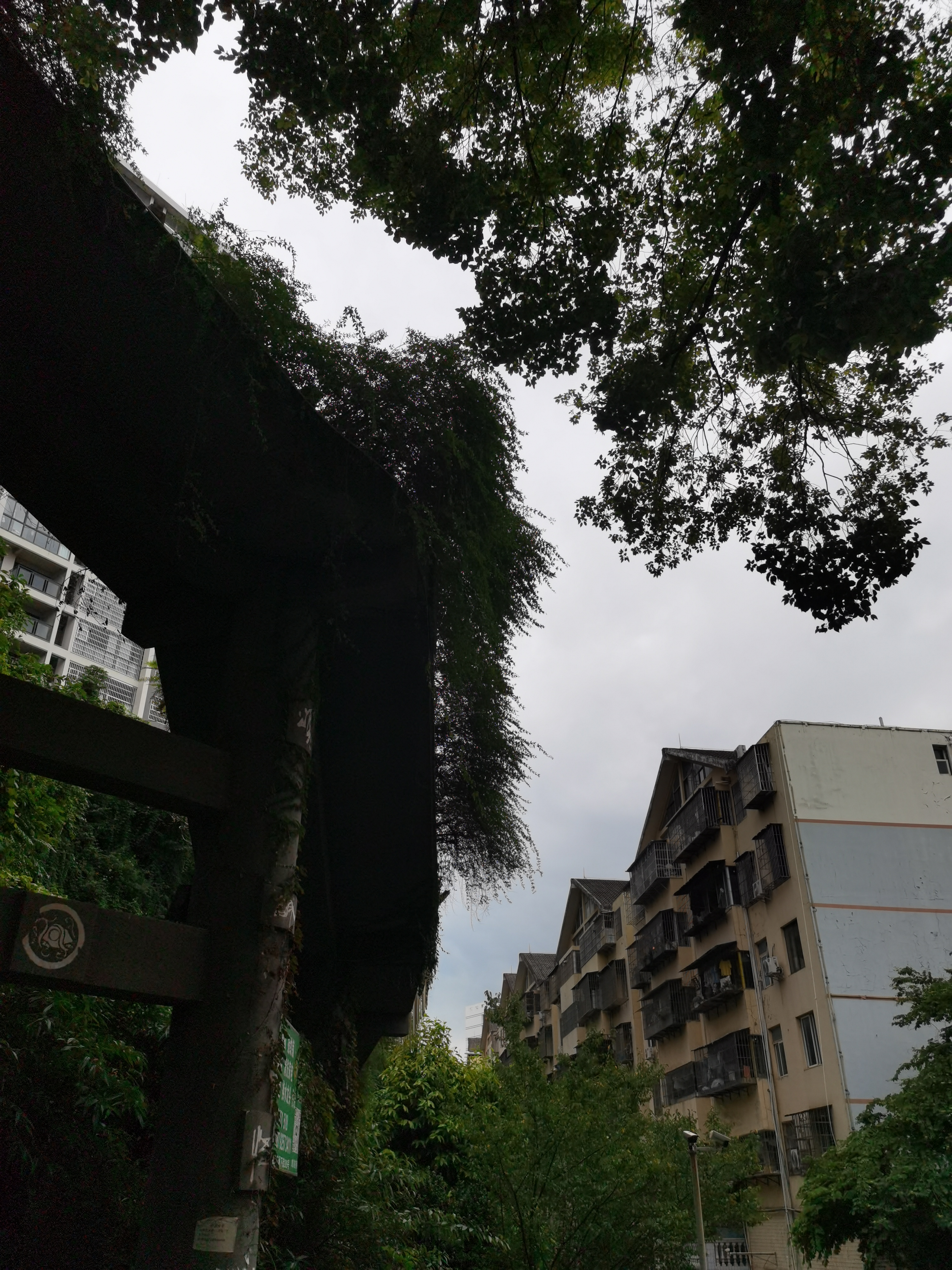 小区建筑隐于绿叶间素材