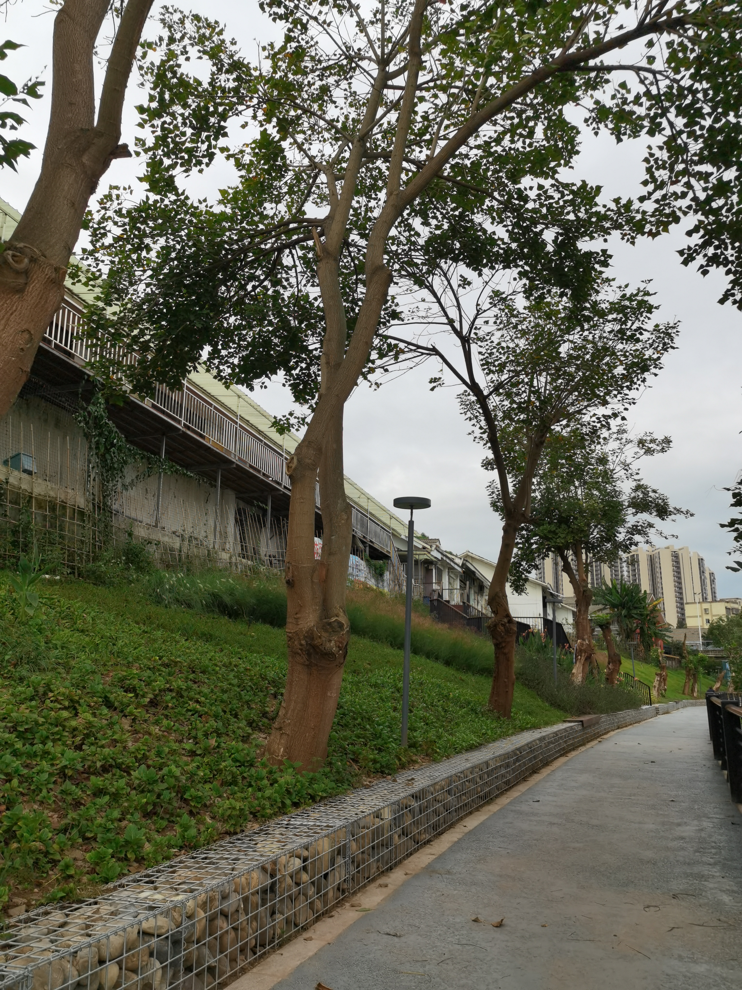 生机勃勃的绿植与建筑一角素材