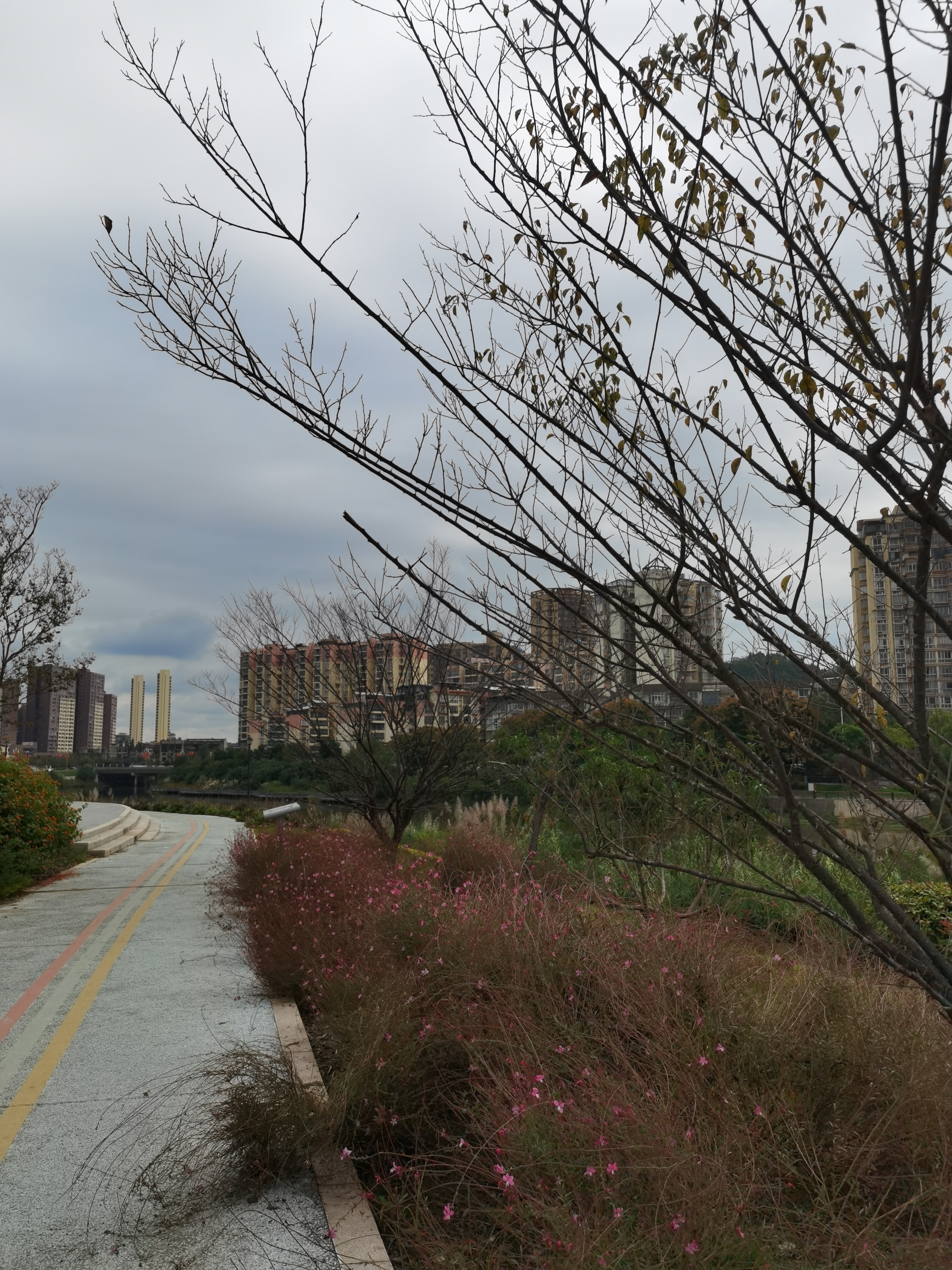 城郊枯萎藤蔓与粉色花丛素材