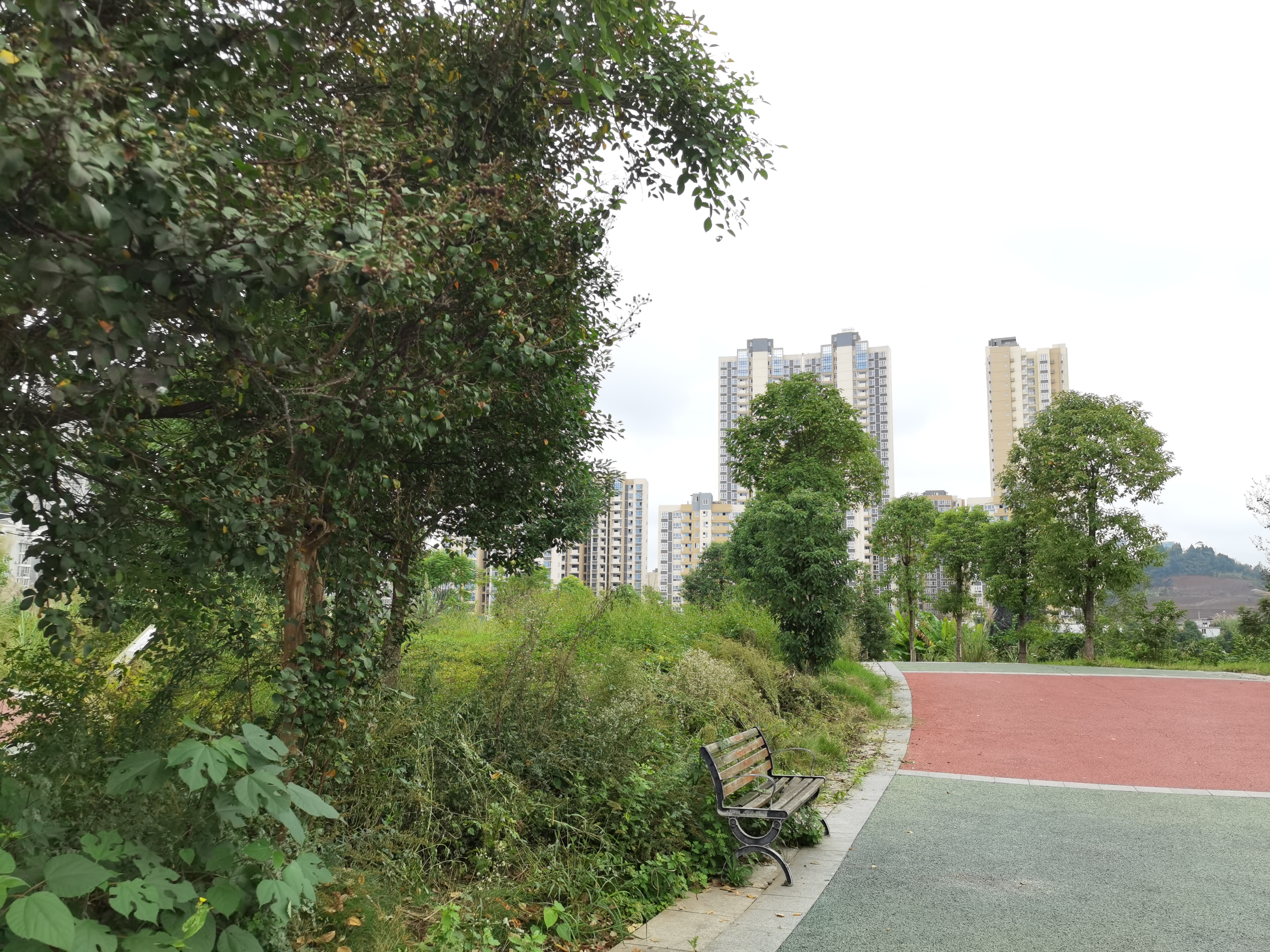 城郊休闲公园场景素材