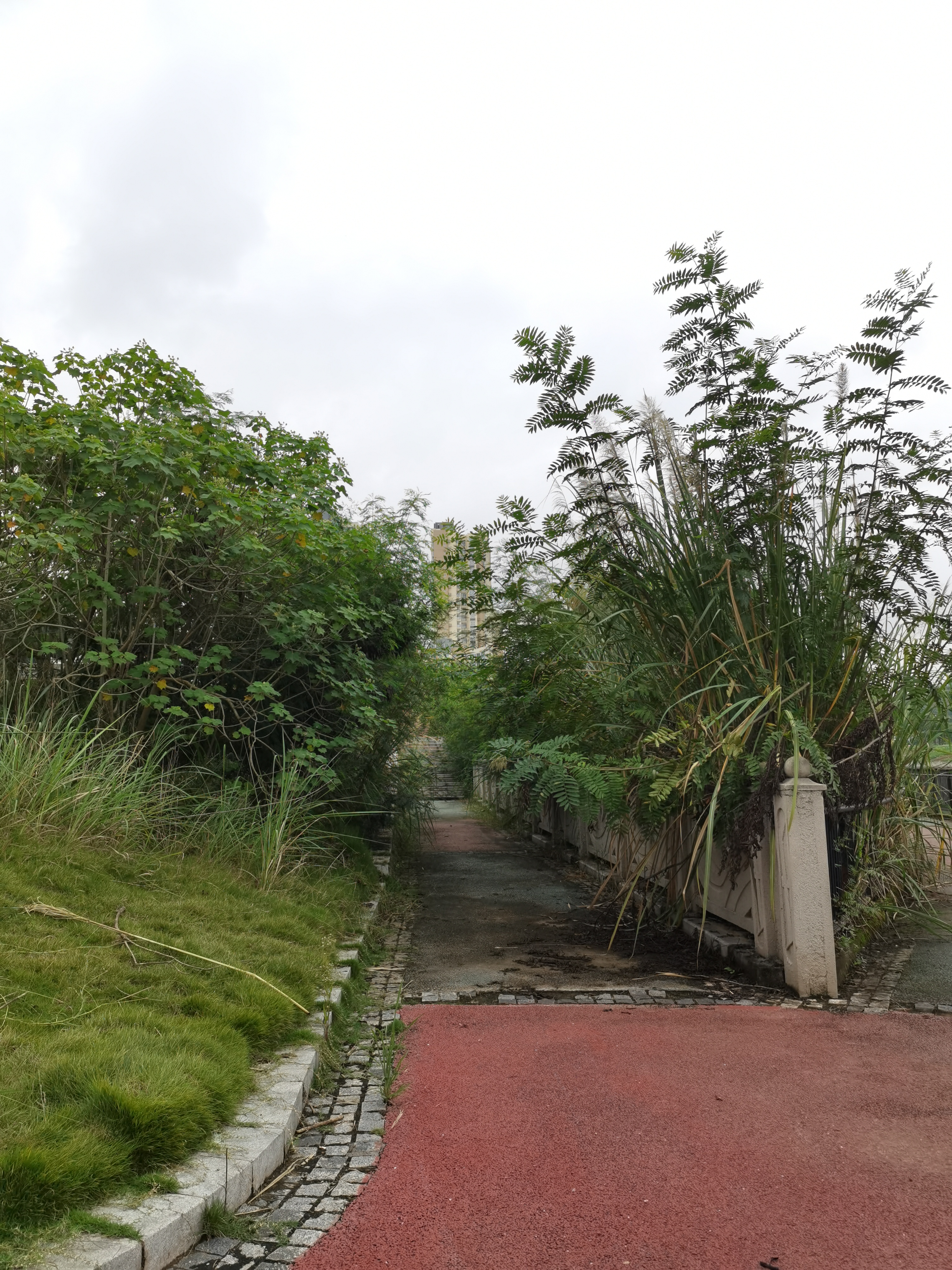 城市河畔休闲栈道风光素材