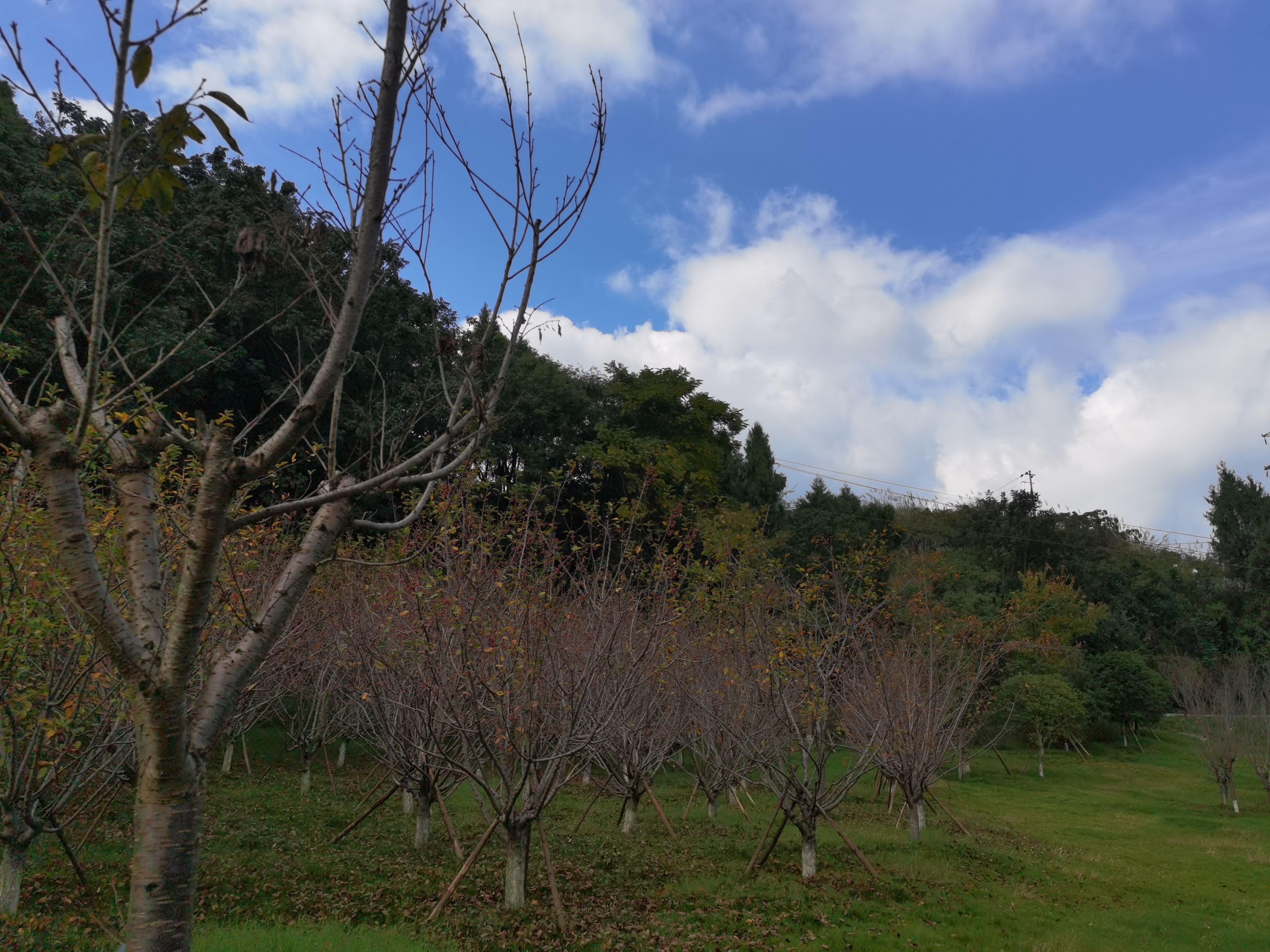 秋日里山间自然风光素材