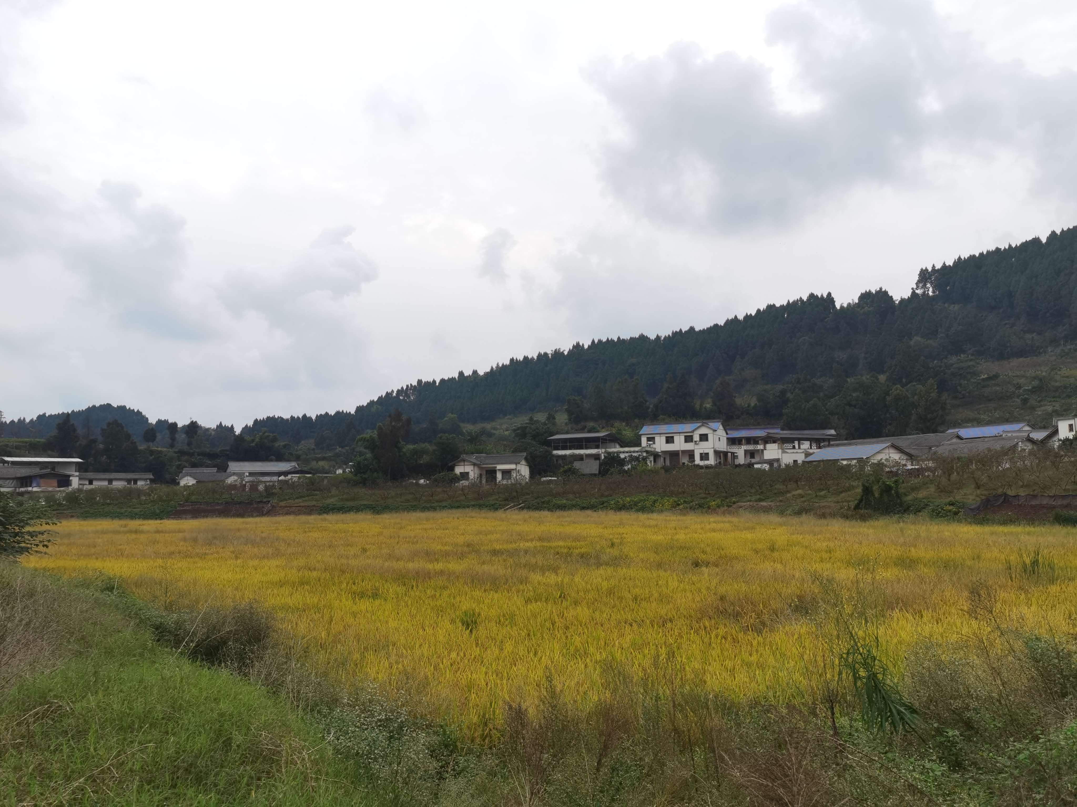清新舒适乡村风光素材