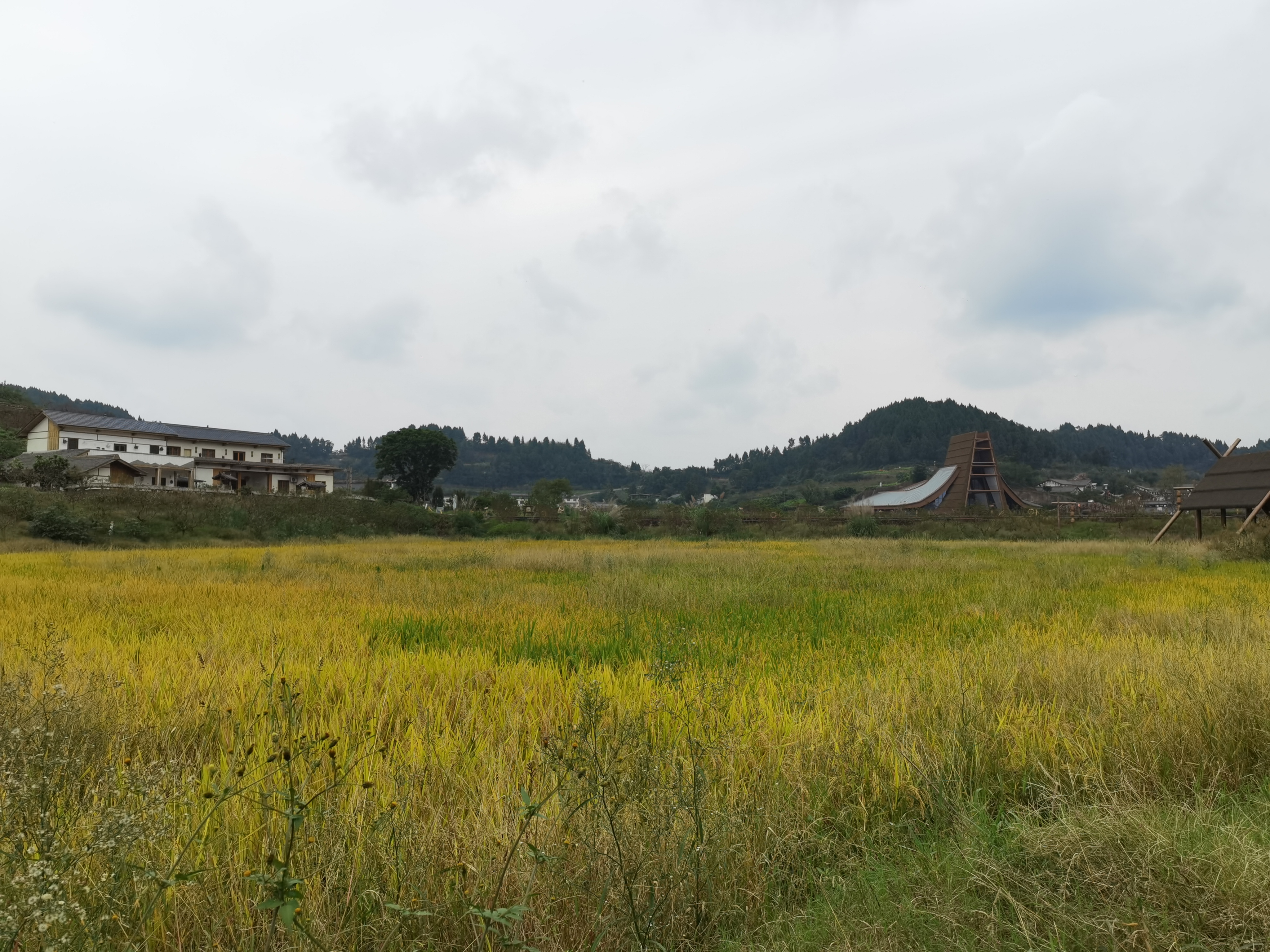 自然舒适乡村风光素材