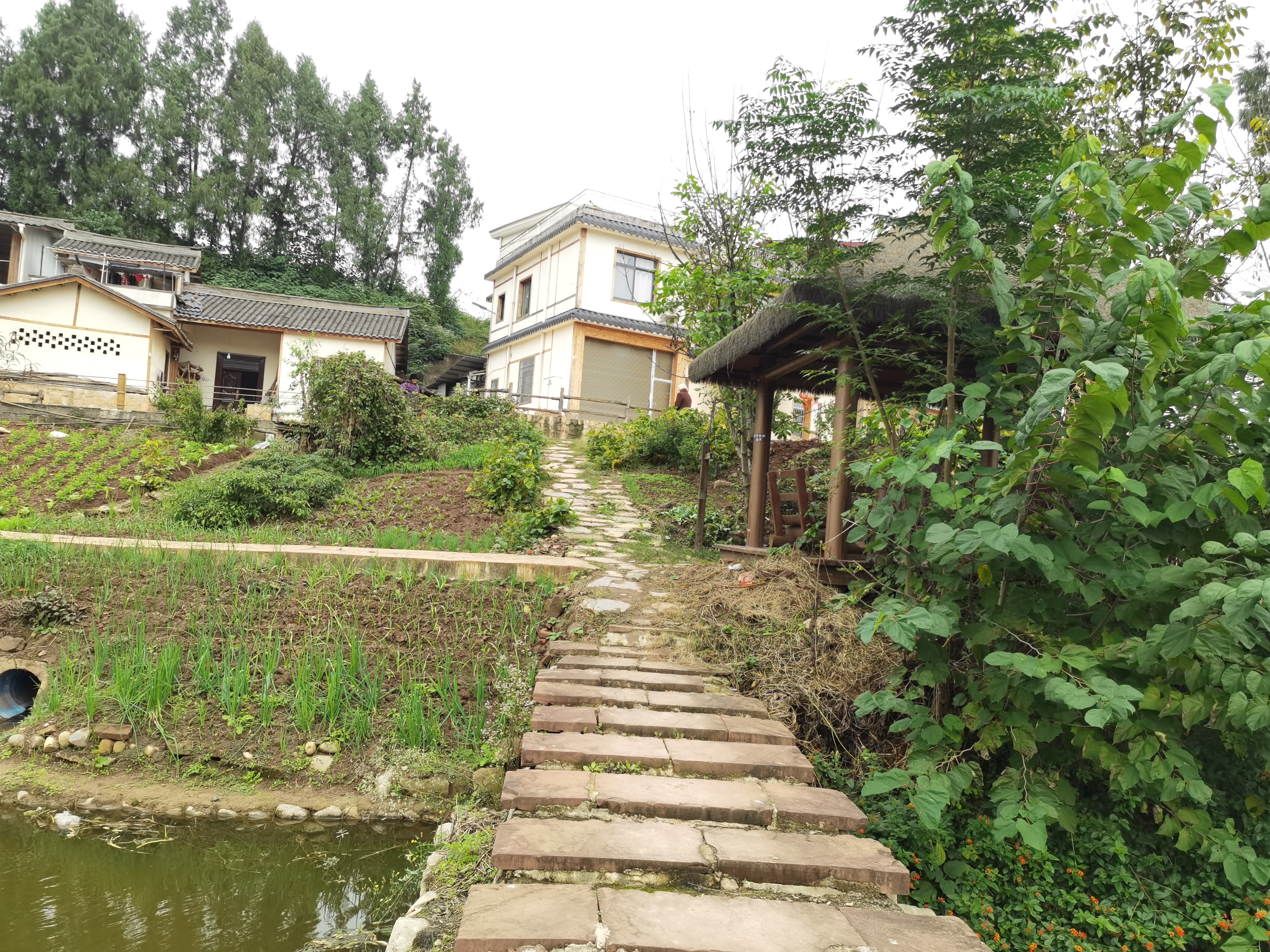 生态清新的农村生活环境素材