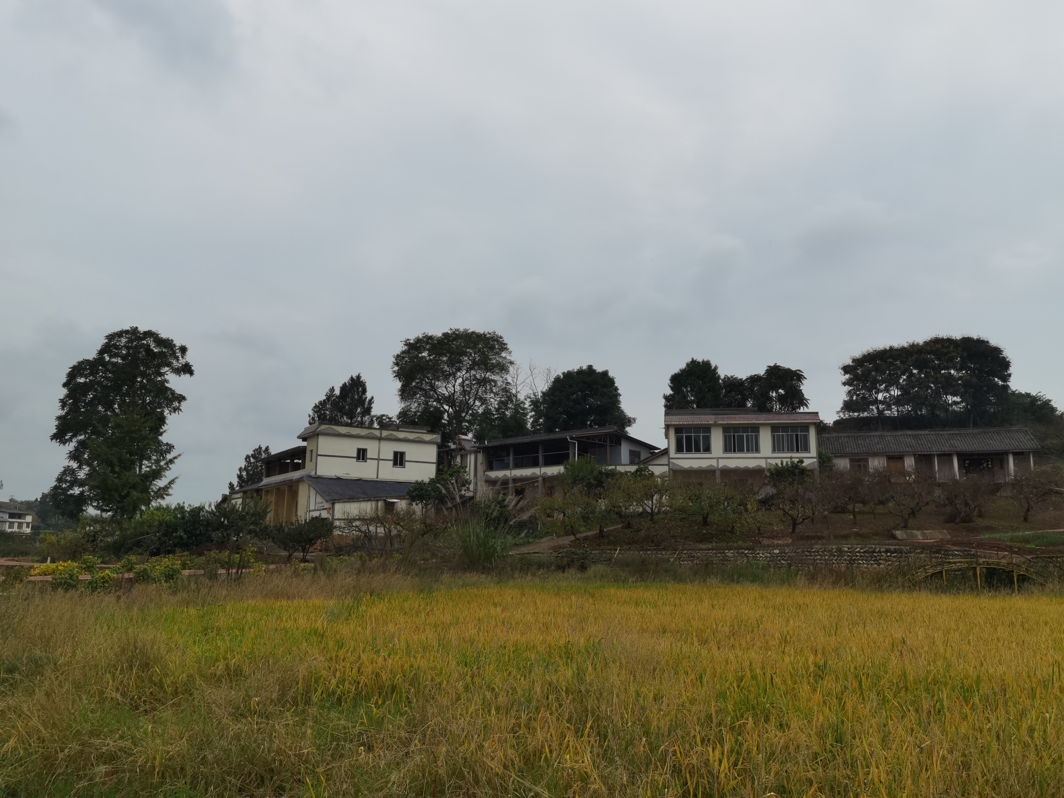 清新宜居的田园风光素材