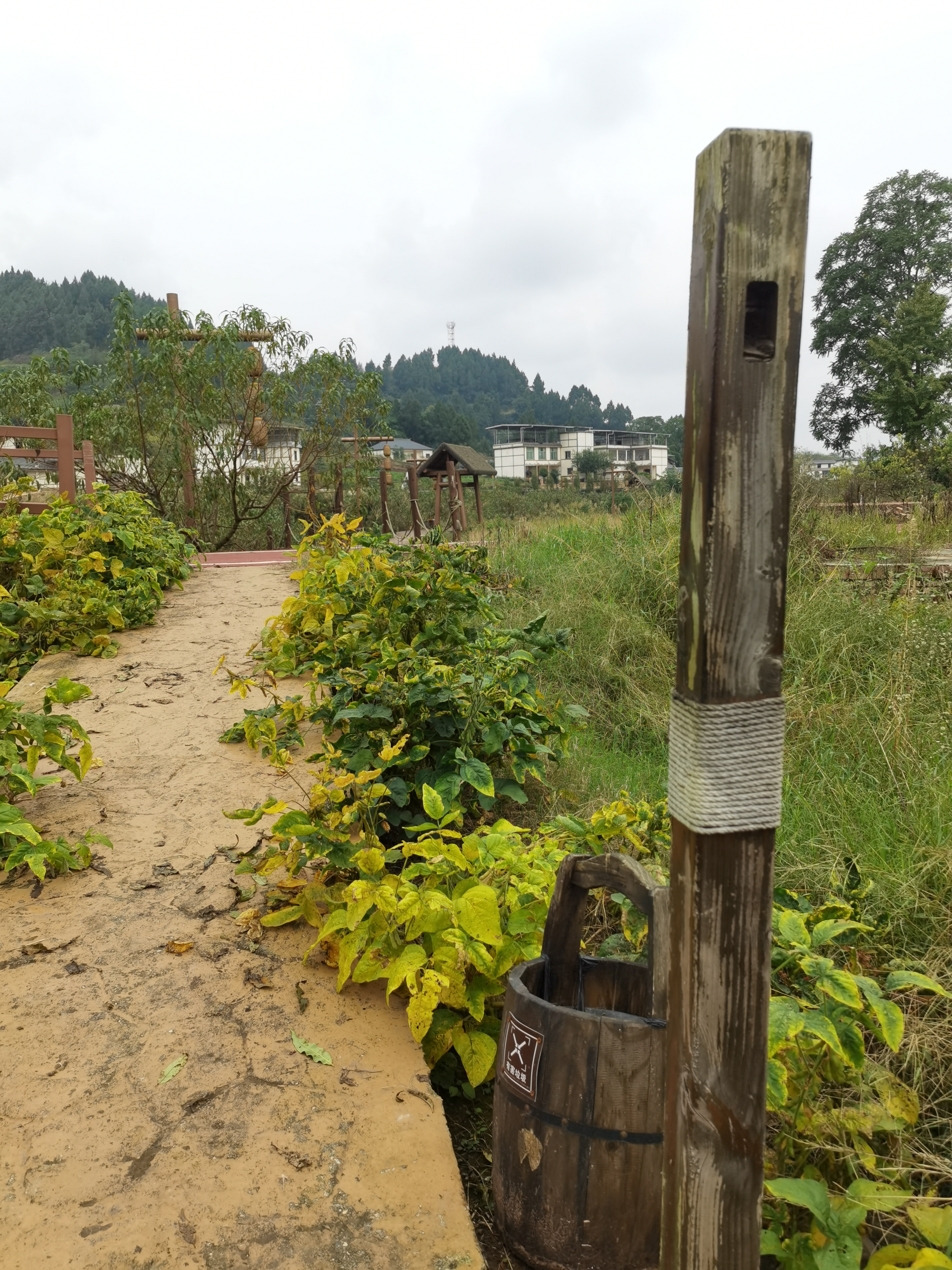 清新宜居的田园风光素材