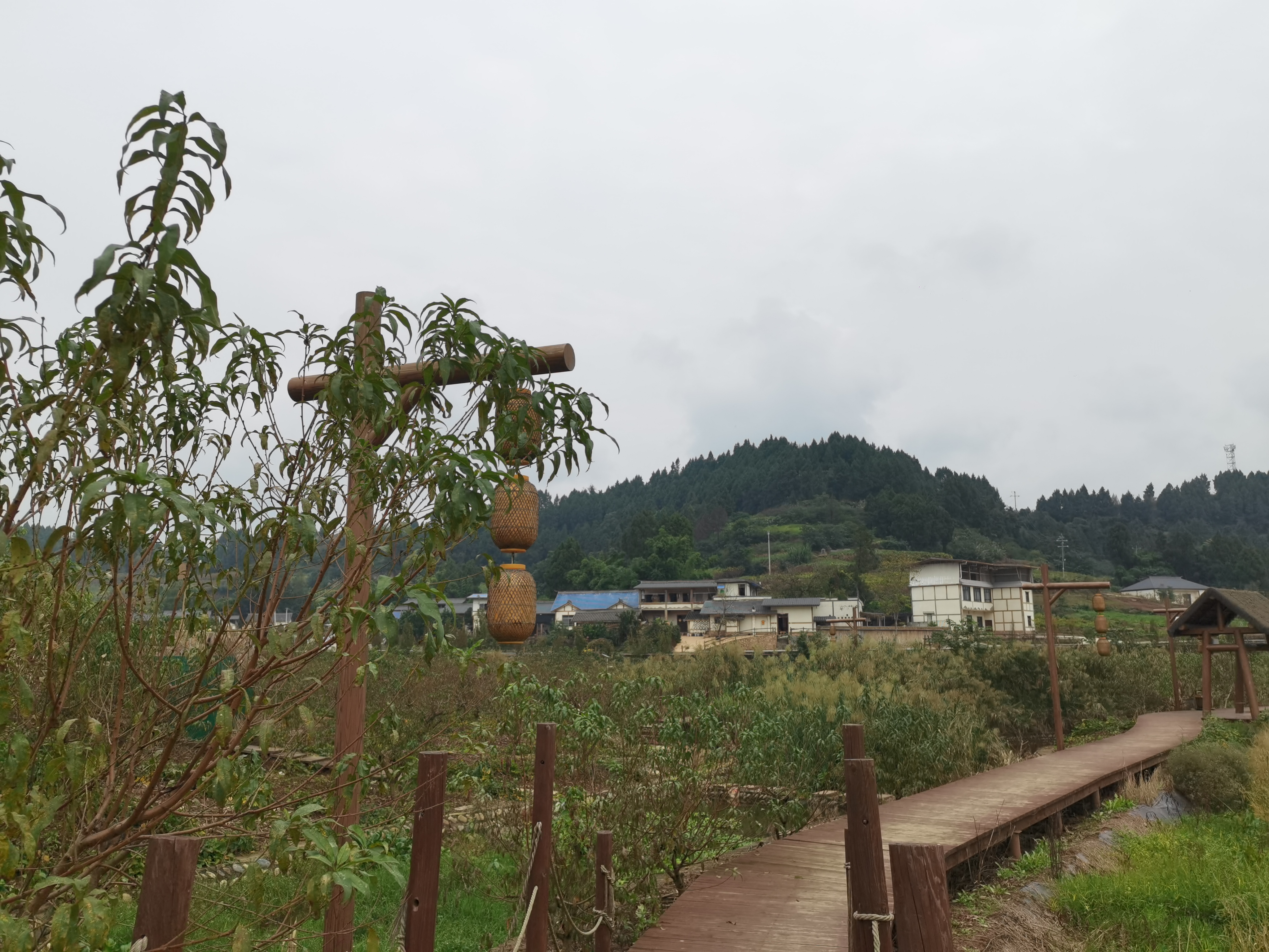 乡间美丽的自然风光素材