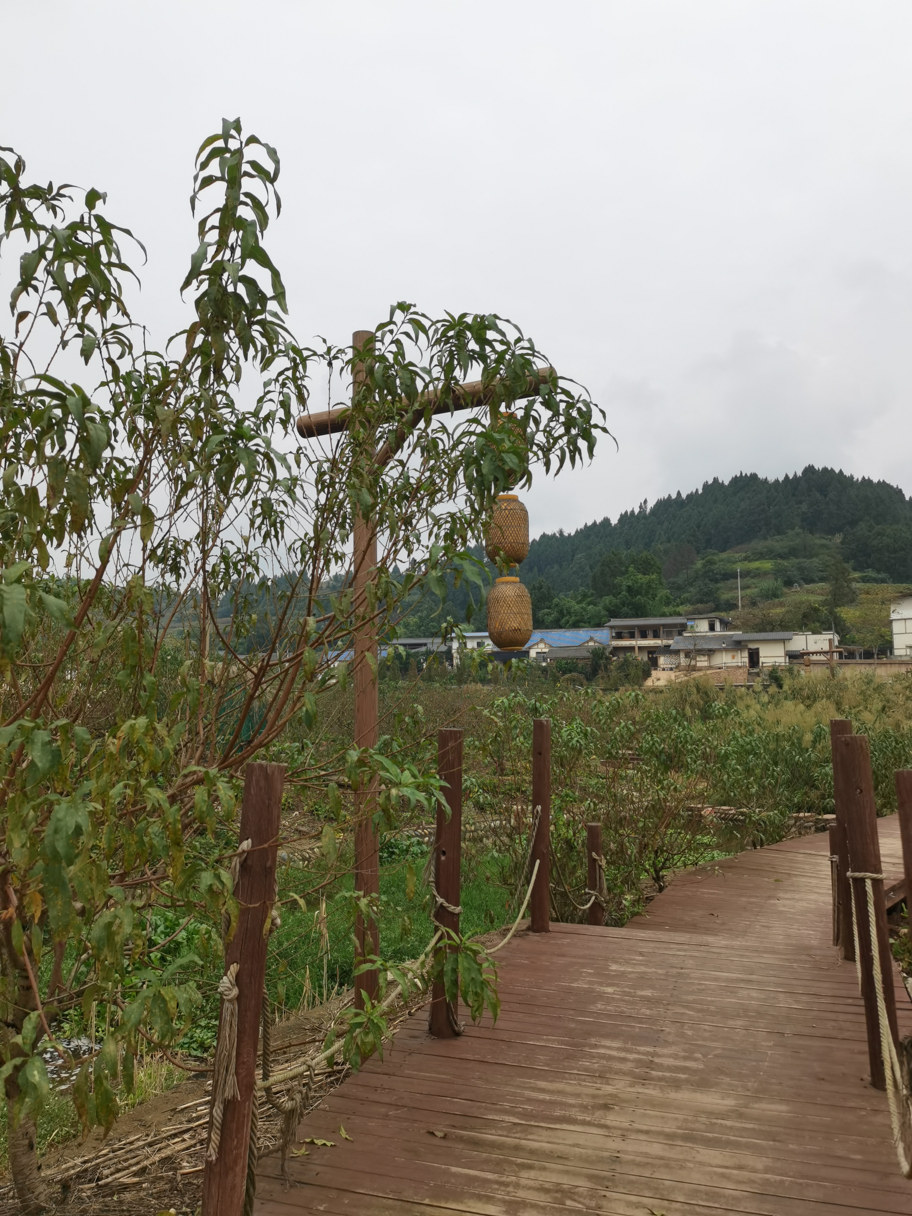 乡间美丽的自然风光素材