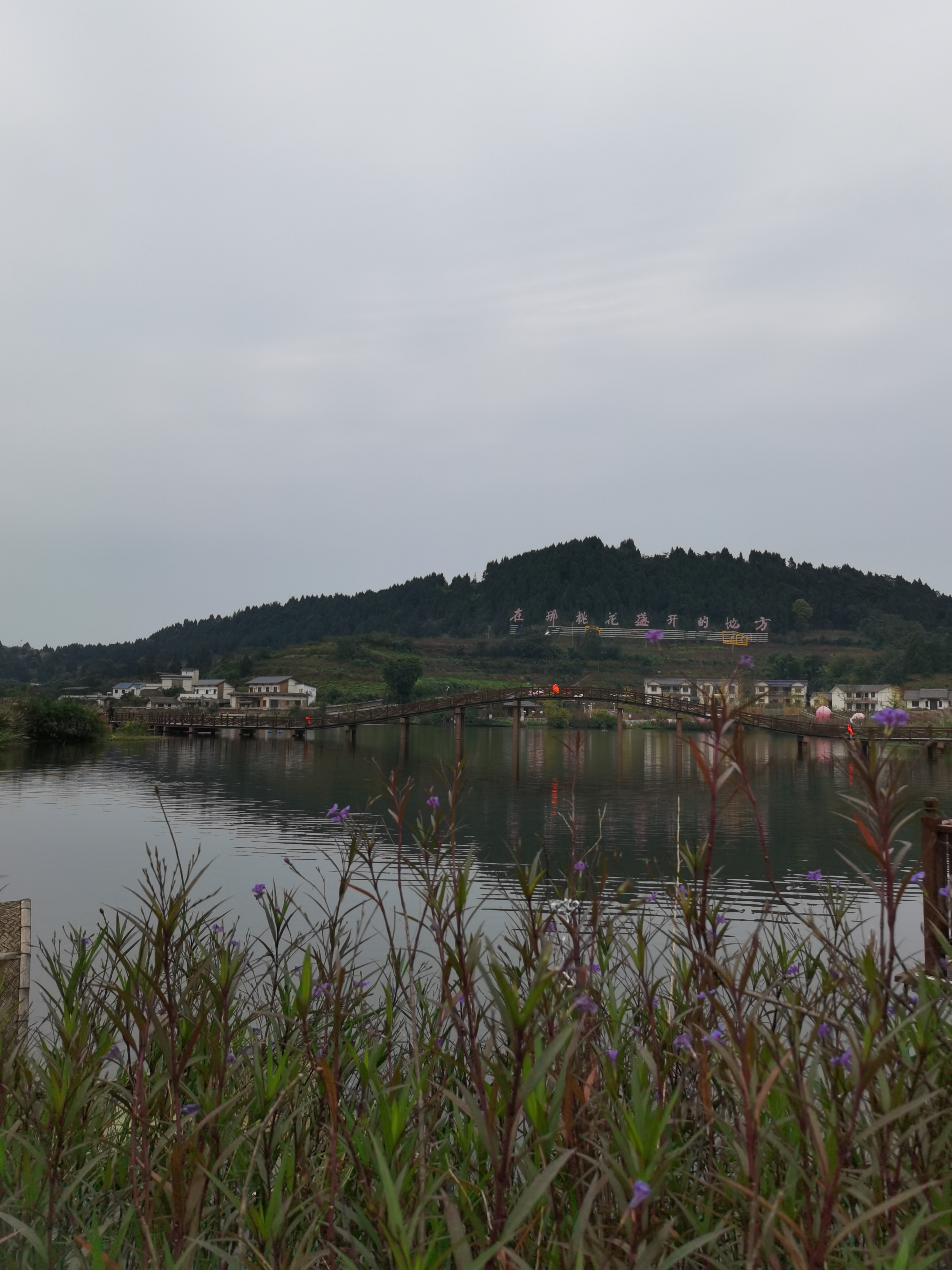 舒适宜居的美丽乡村素材