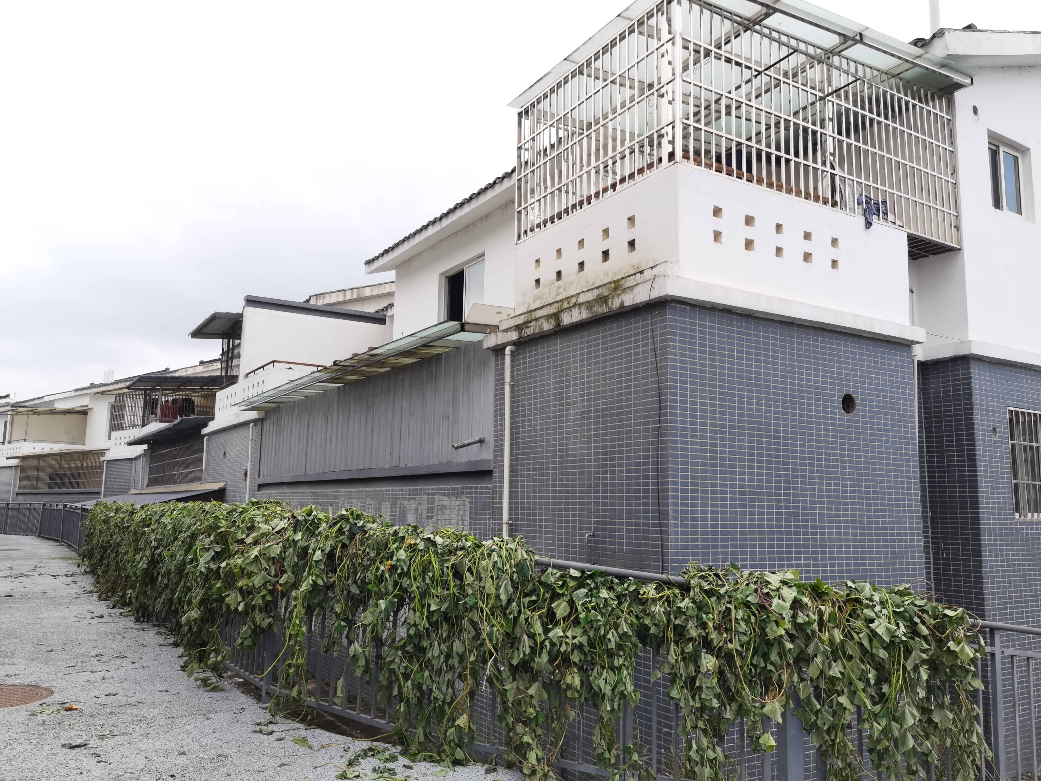 乡村灰白相间的民居建筑素材