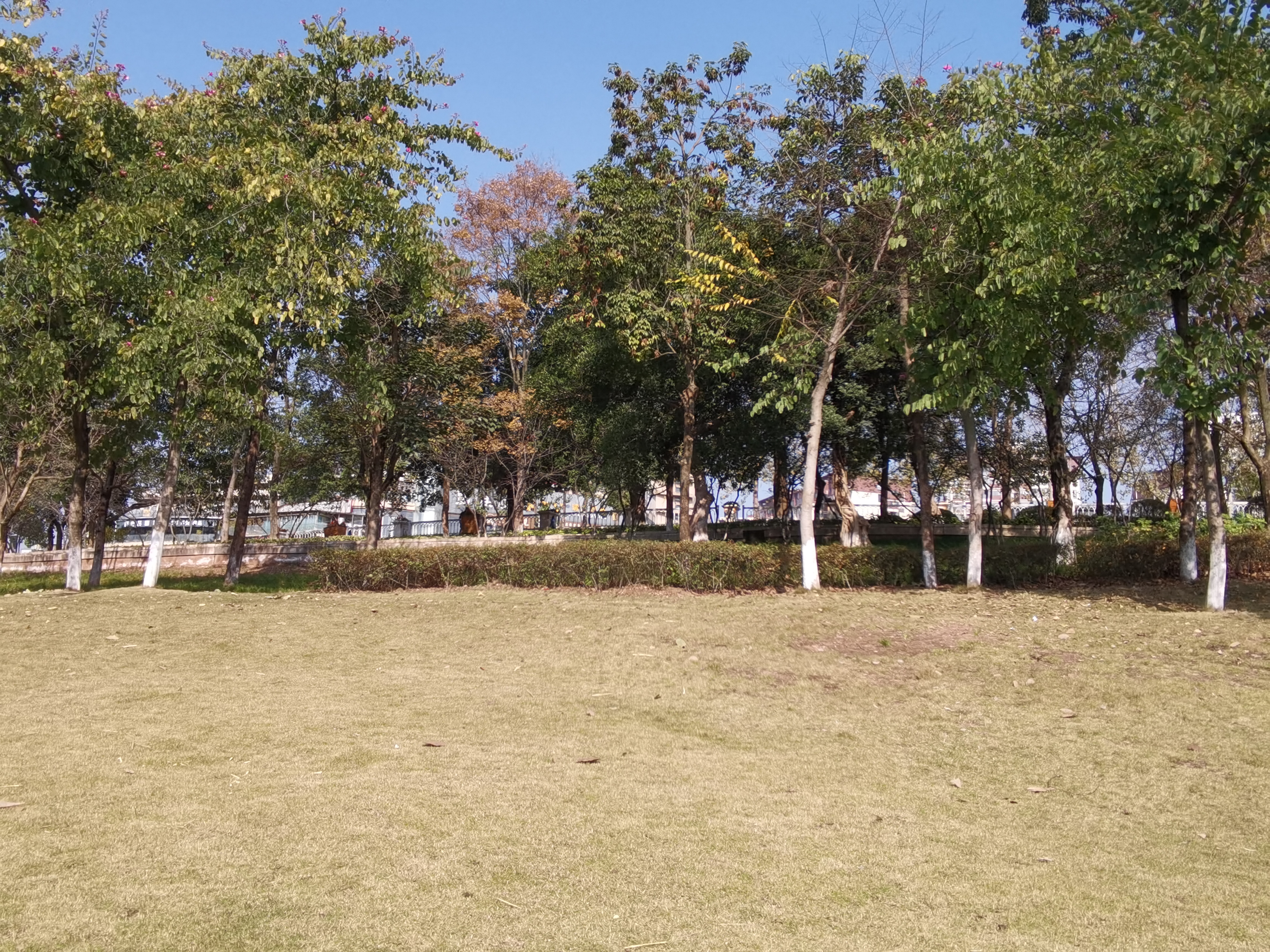 户外公园休闲场所素材