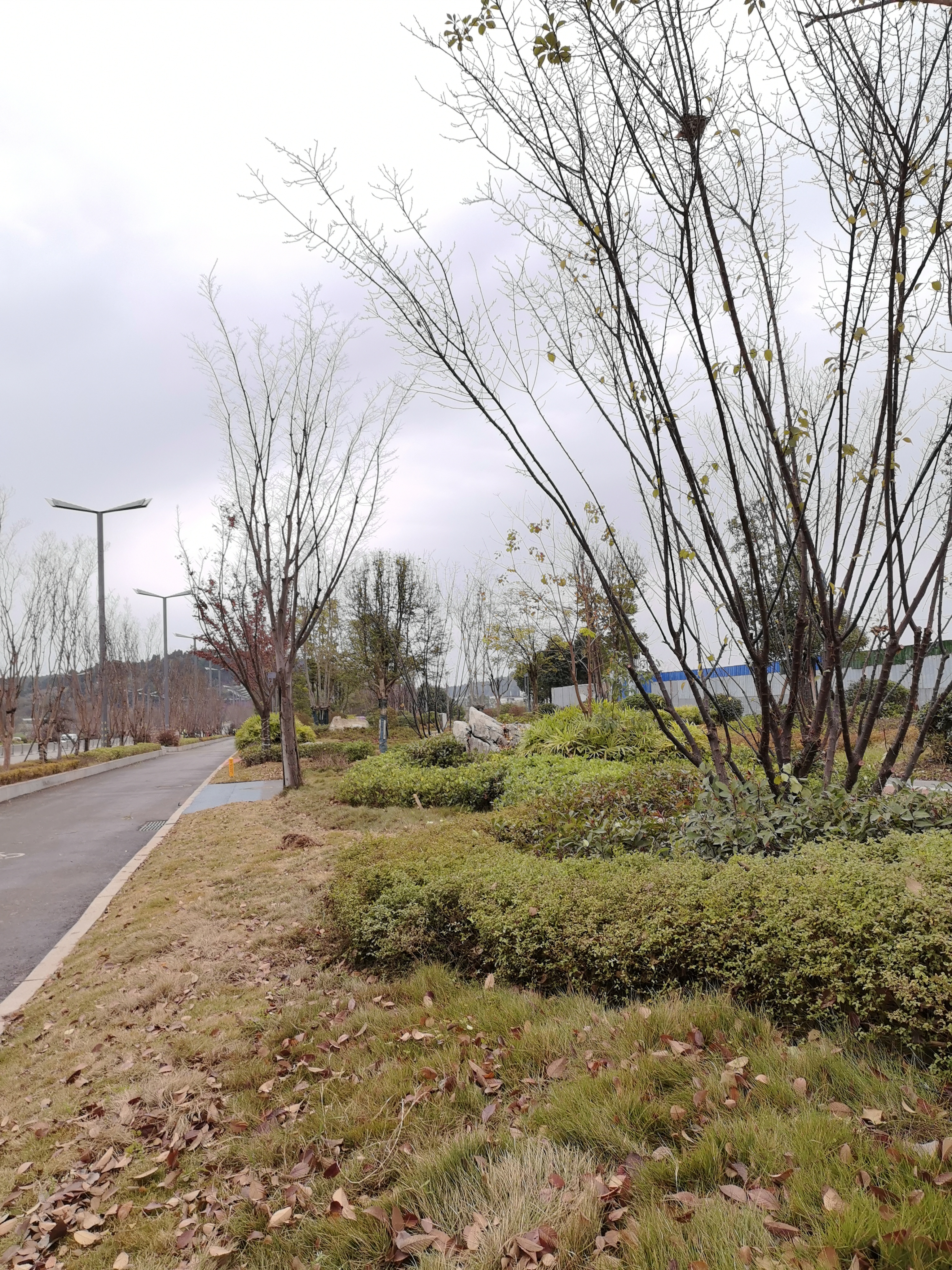休闲城市生活环境素材