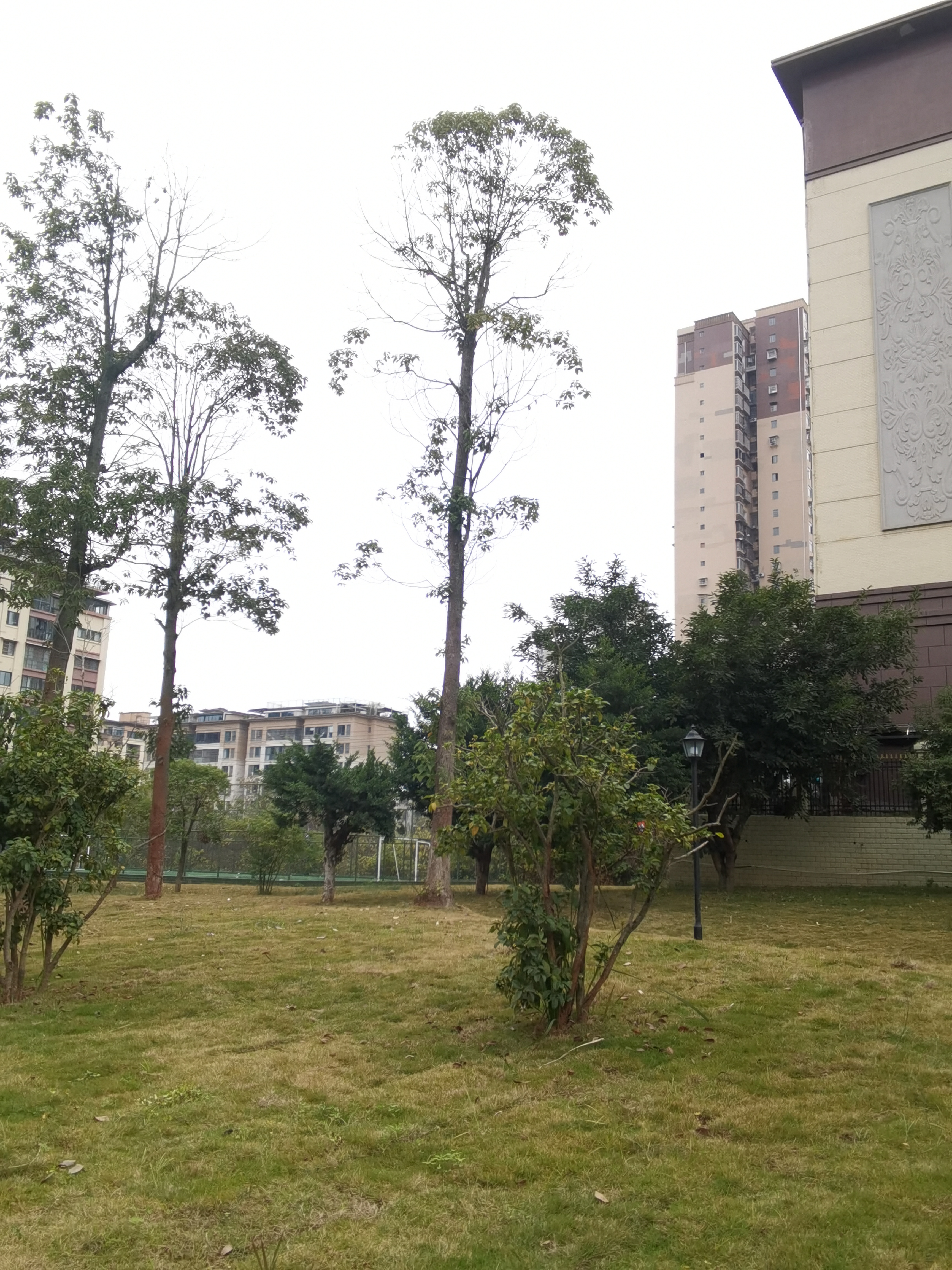 休闲城市宜居小区环境素材