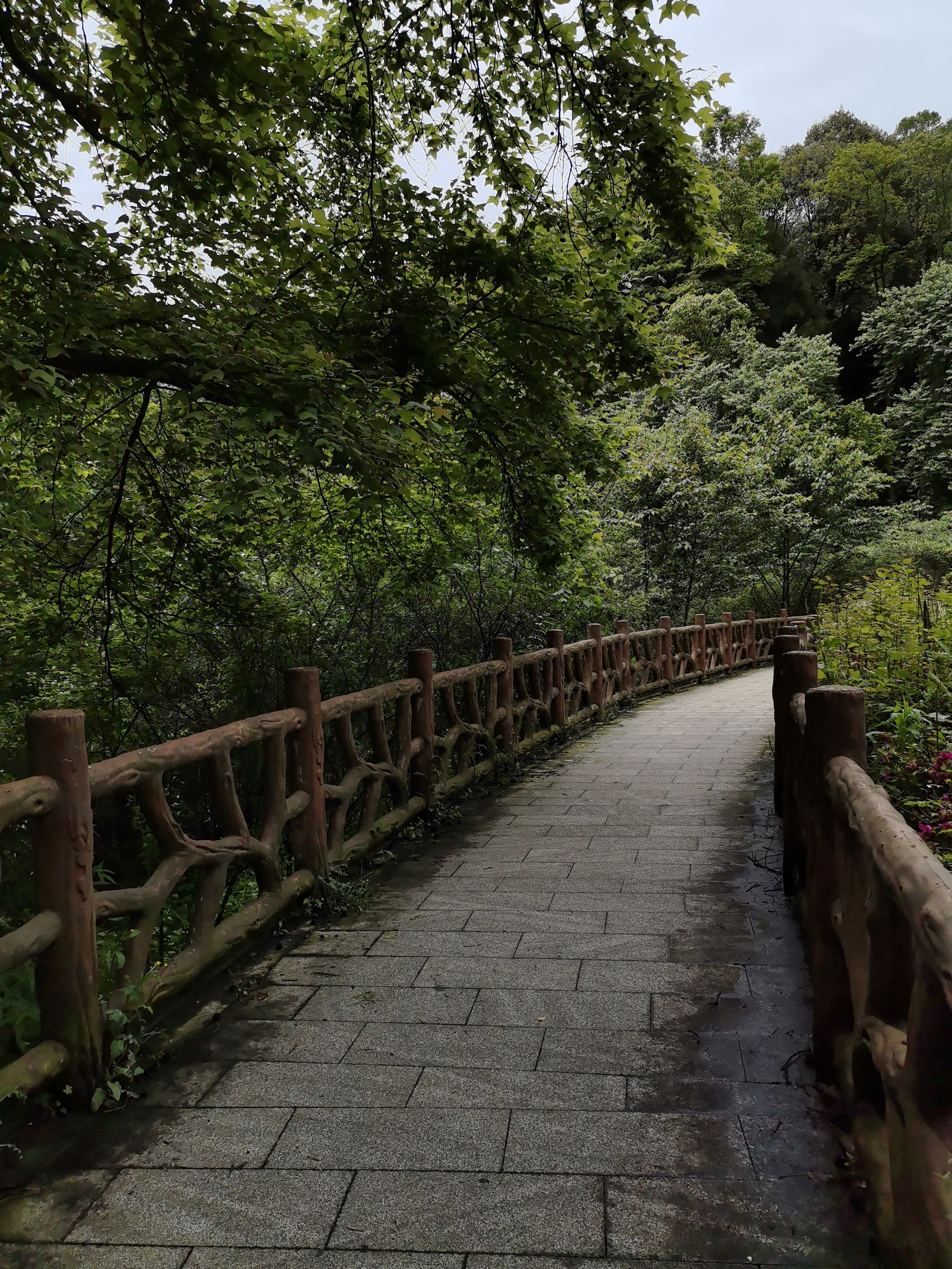 清新生态山间风光素材