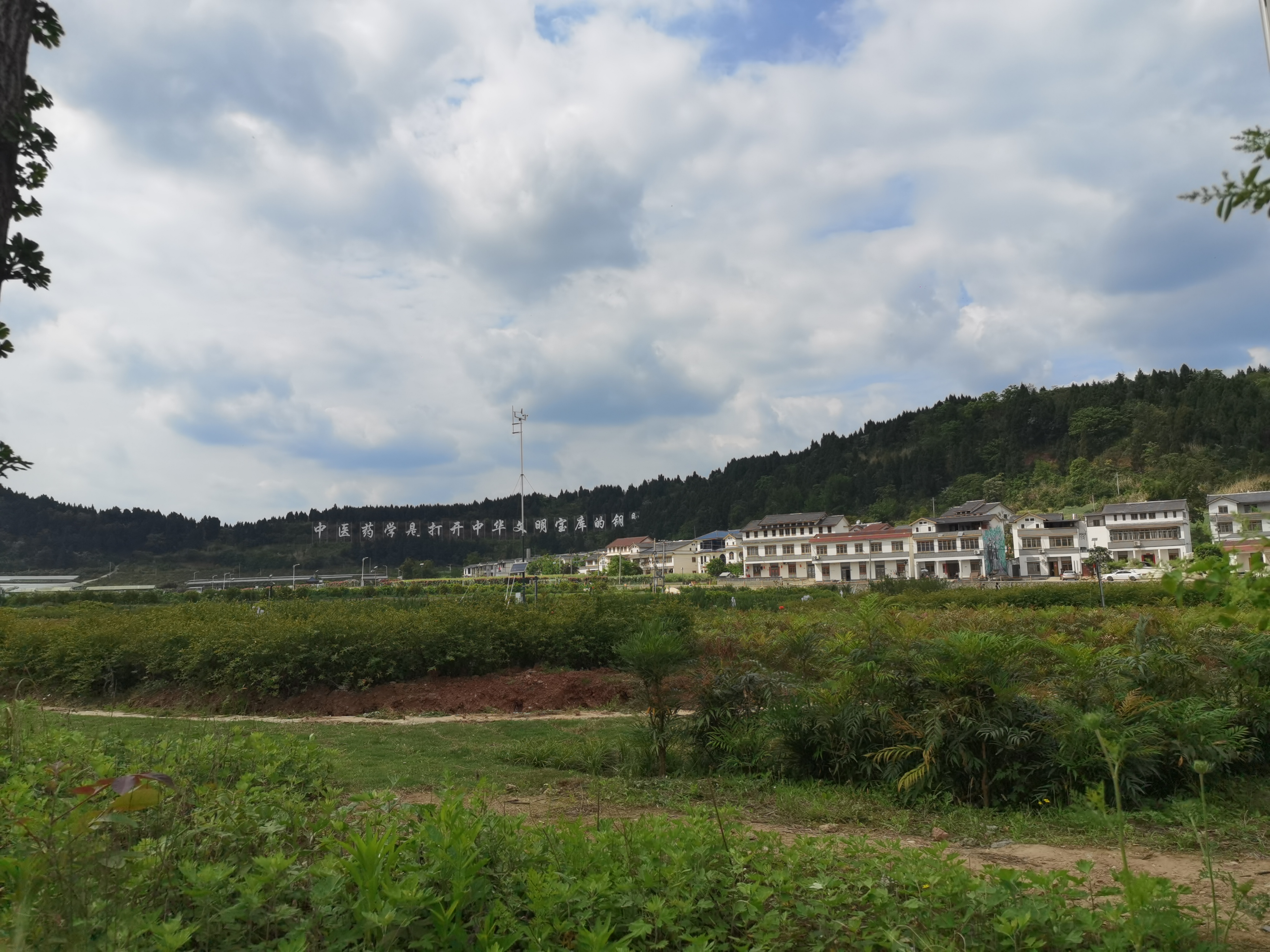 清新自然乡村风光素材