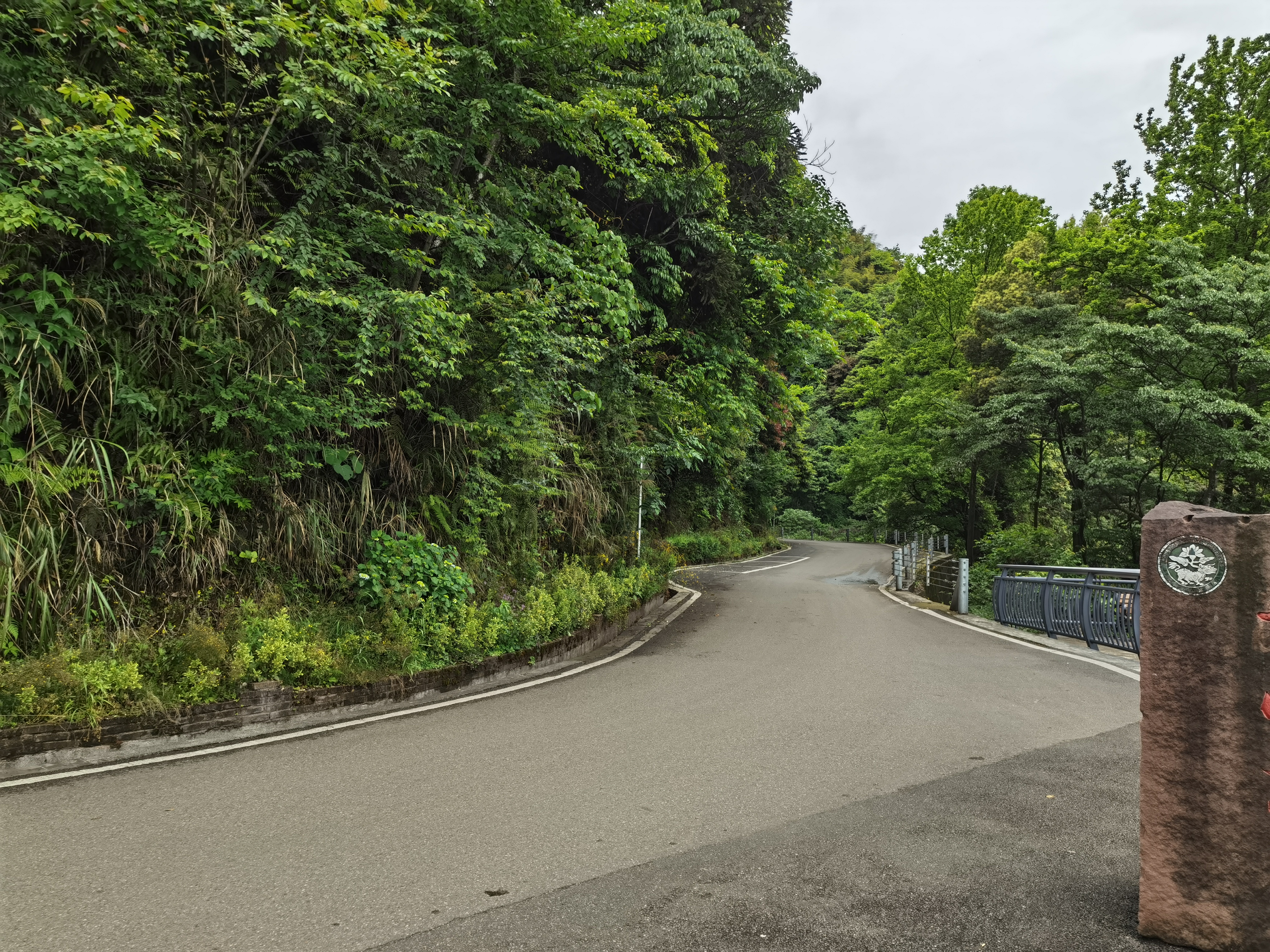 绿植环绕的公路拍摄素材