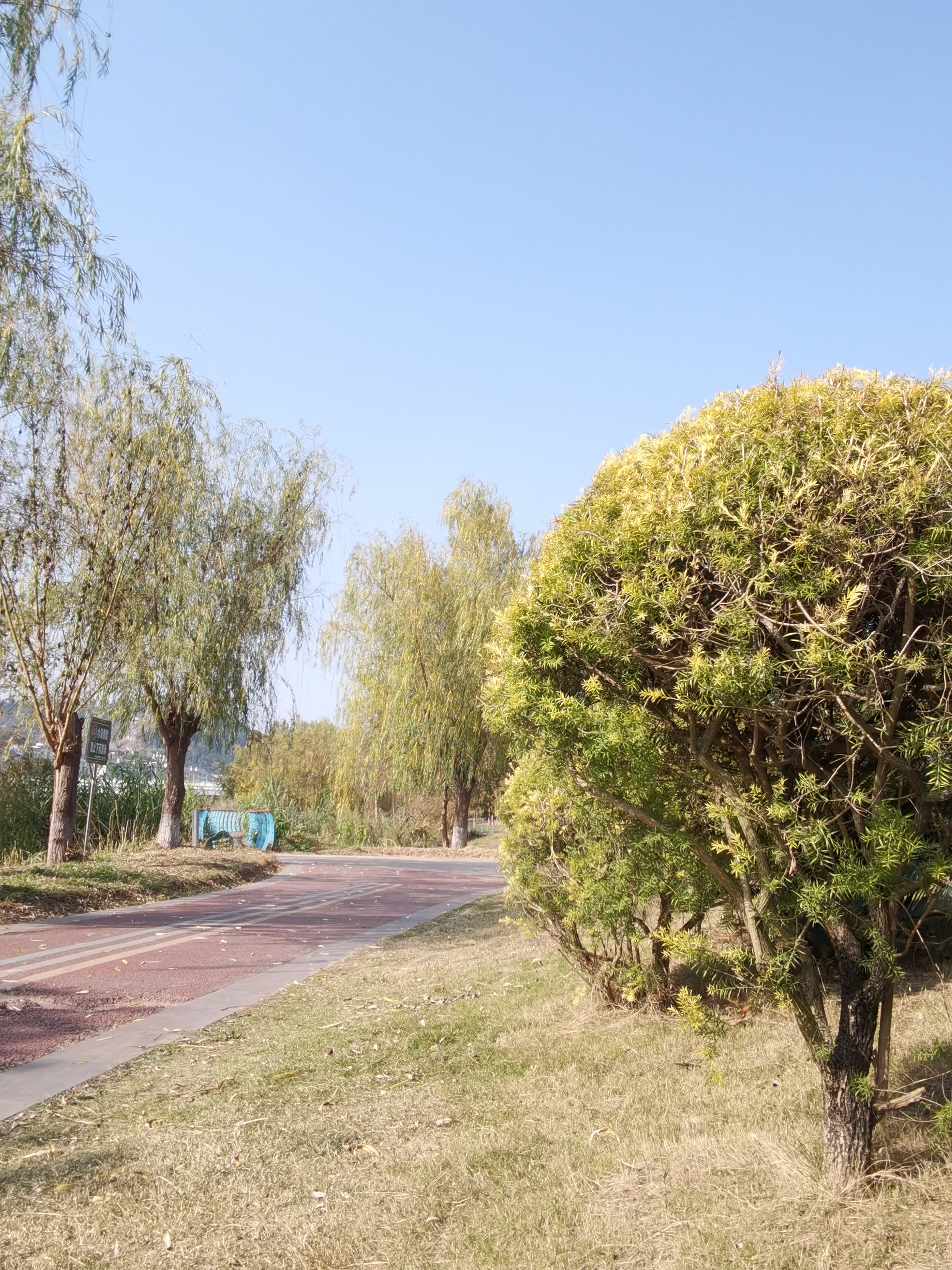 休闲城市冬日公园环境素材