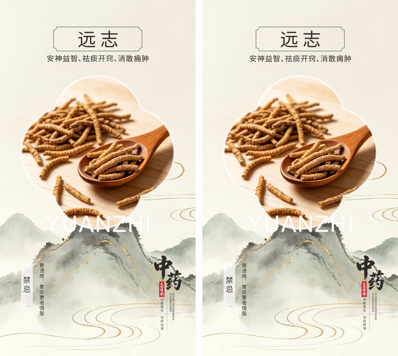 中药材远志宣传海报素材