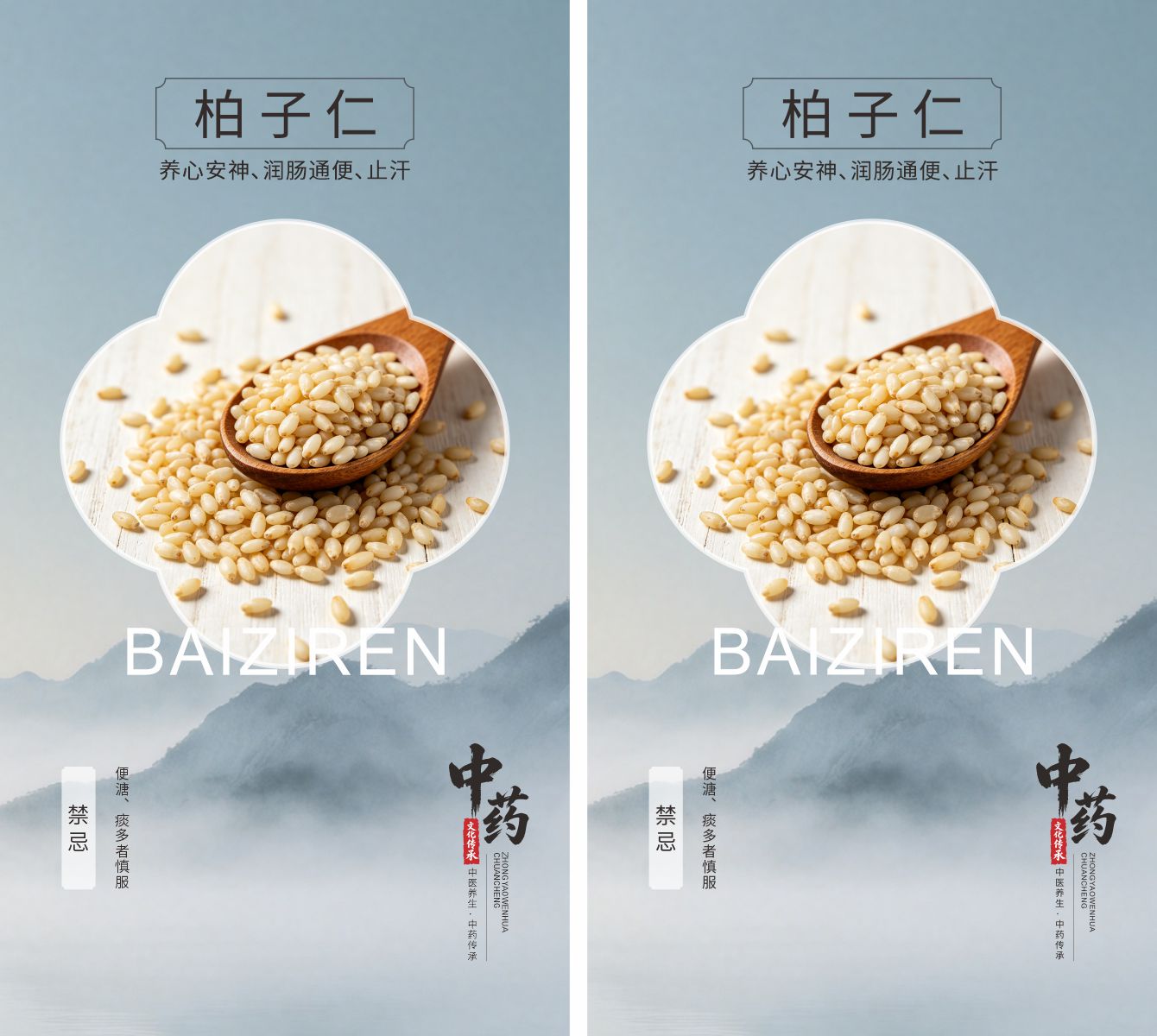 中医药传承柏子仁素材