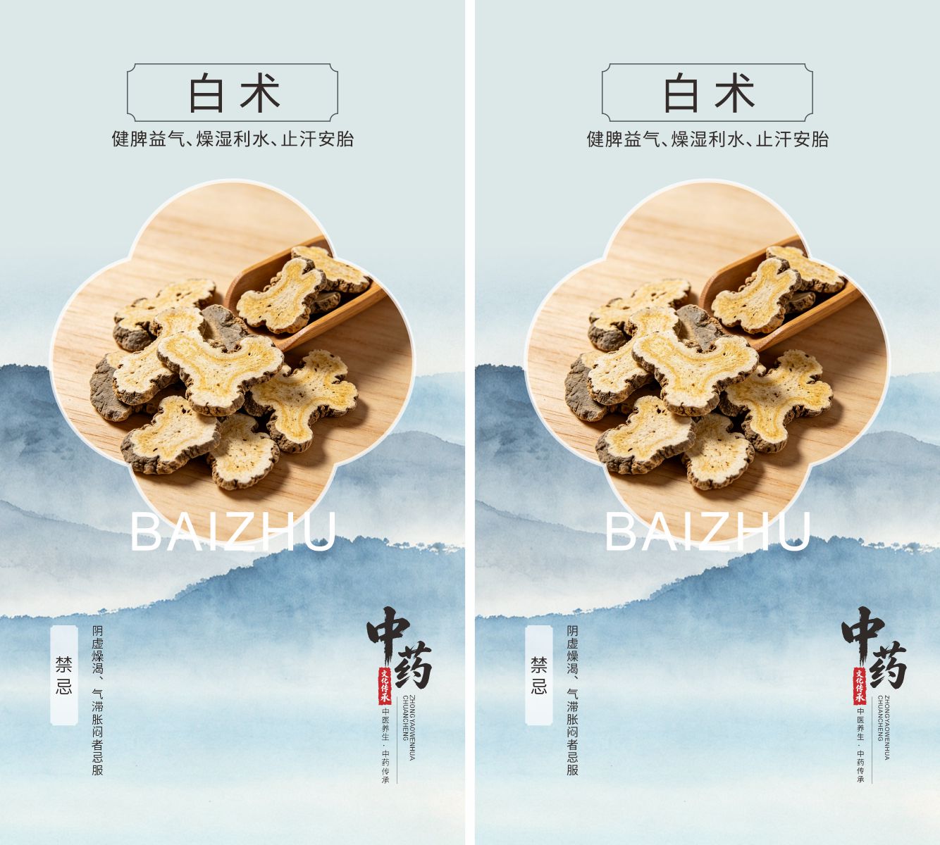 中药材白术宣传海报素材