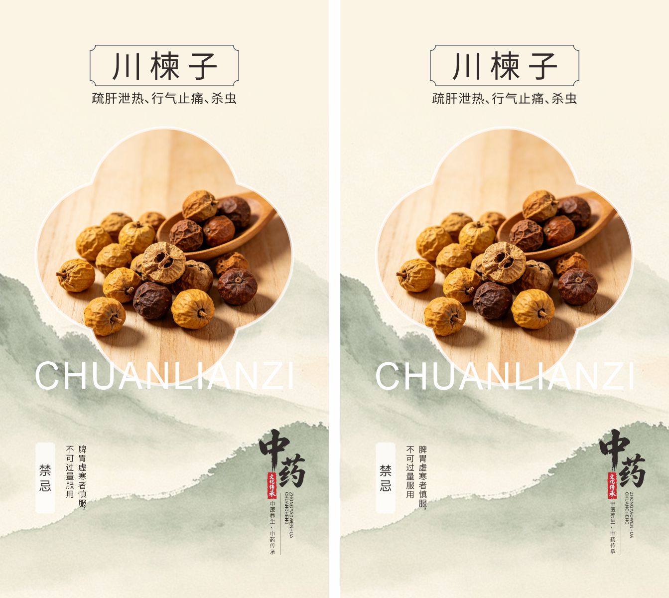 中医药传承川楝子素材