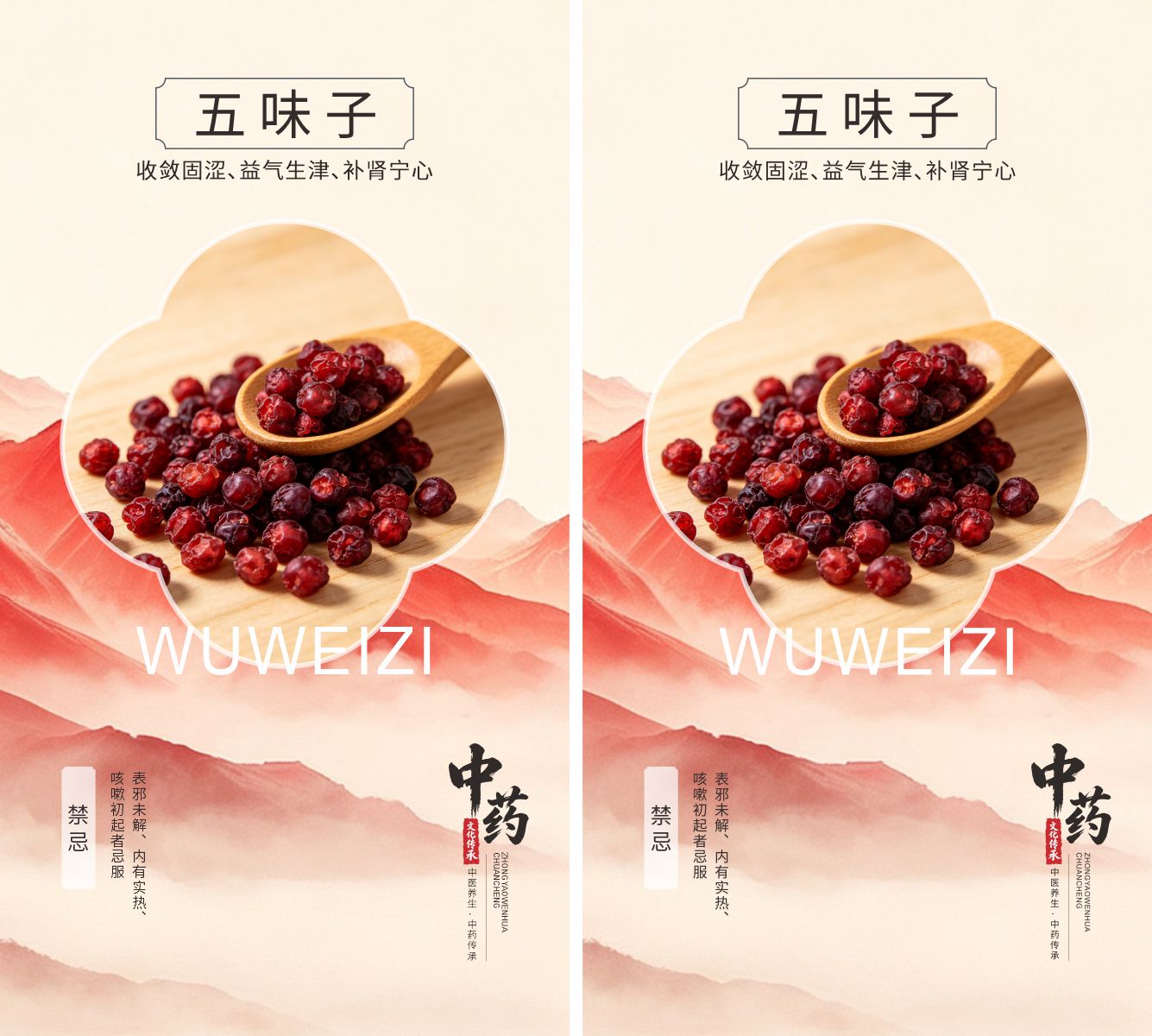 中医药传承五味子素材