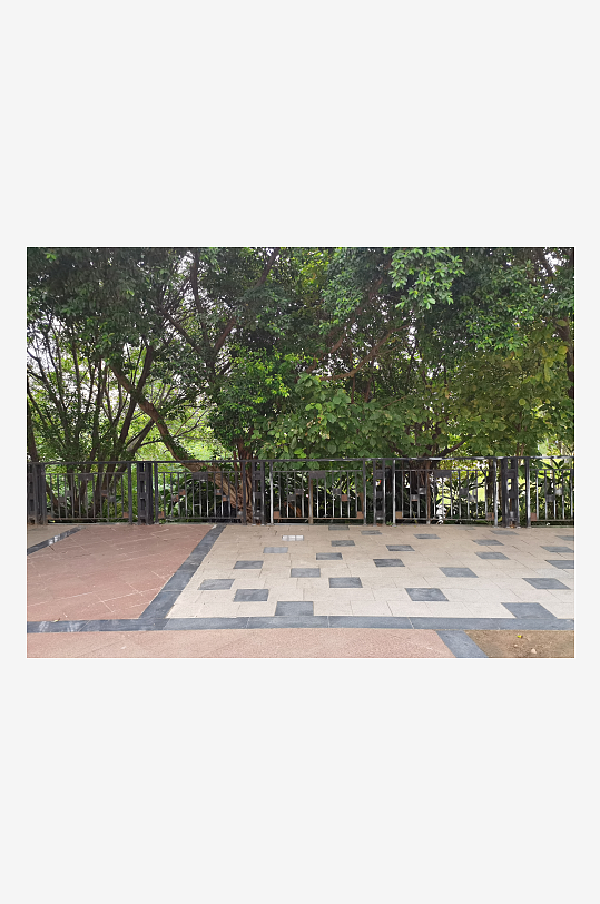 公園路面地面攝影